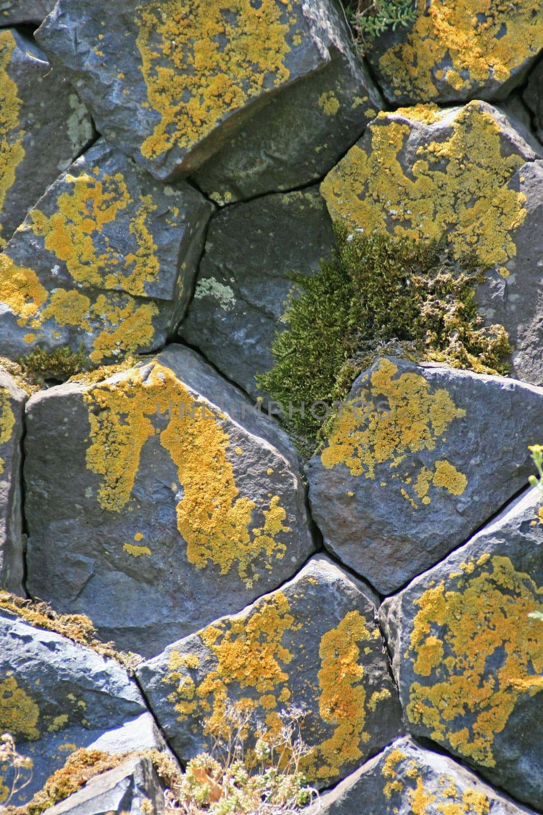 Basalt columns at the Parkstein