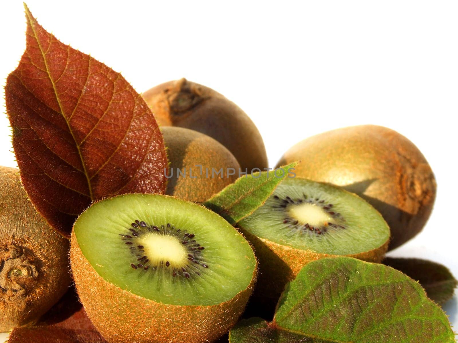 Kiwi