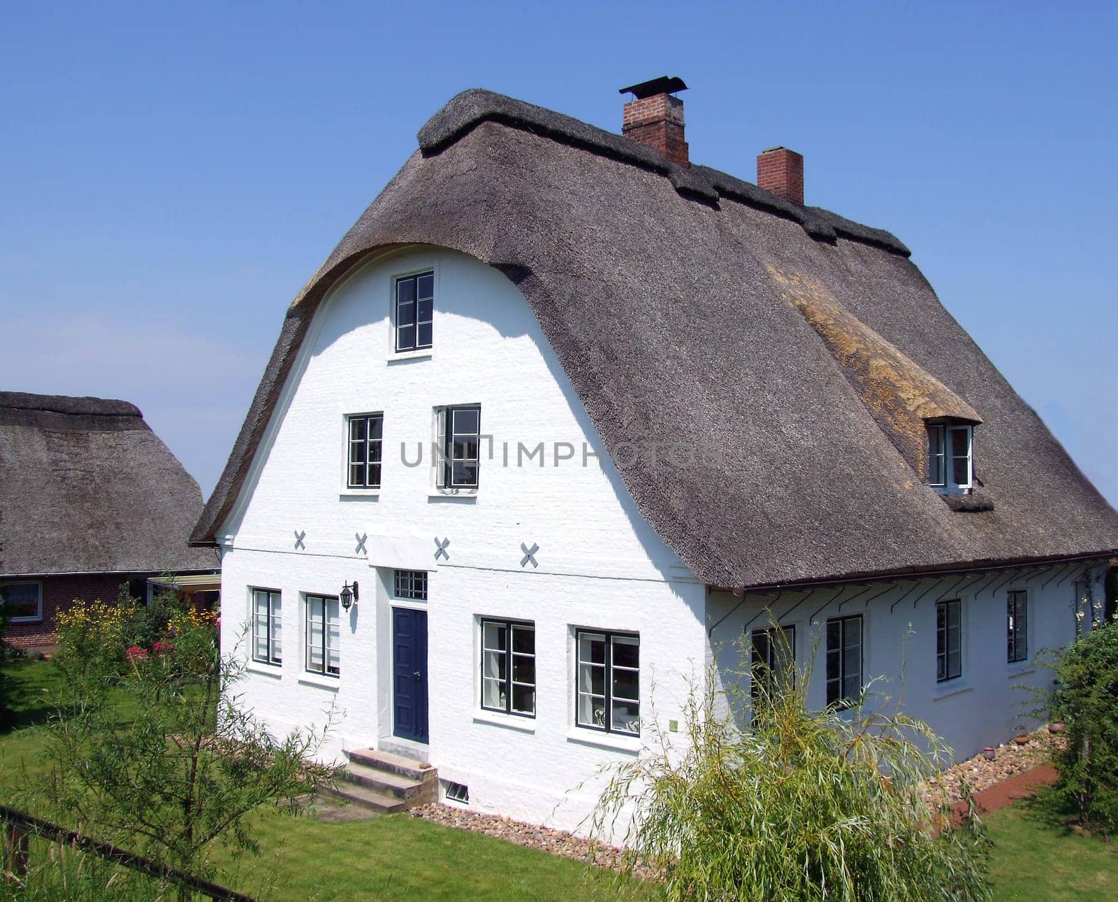Thatched roof house