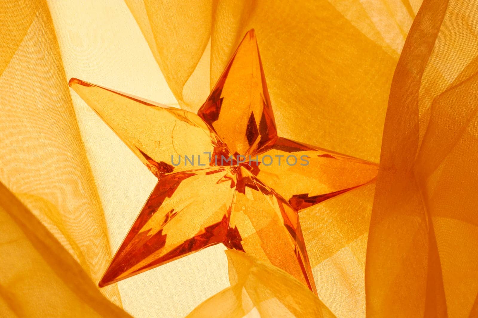 Poinsettia