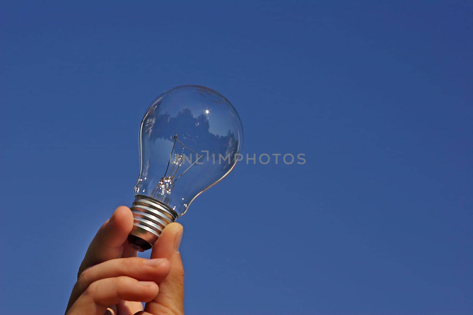 Light bulb