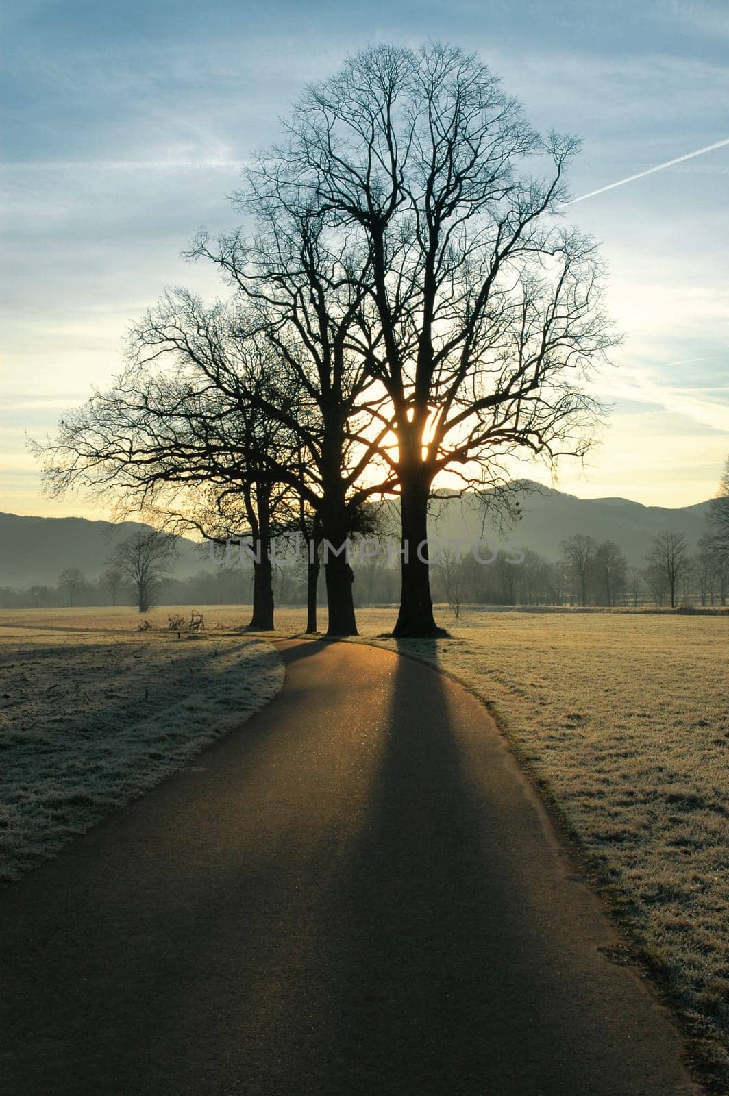 Autumn Morning