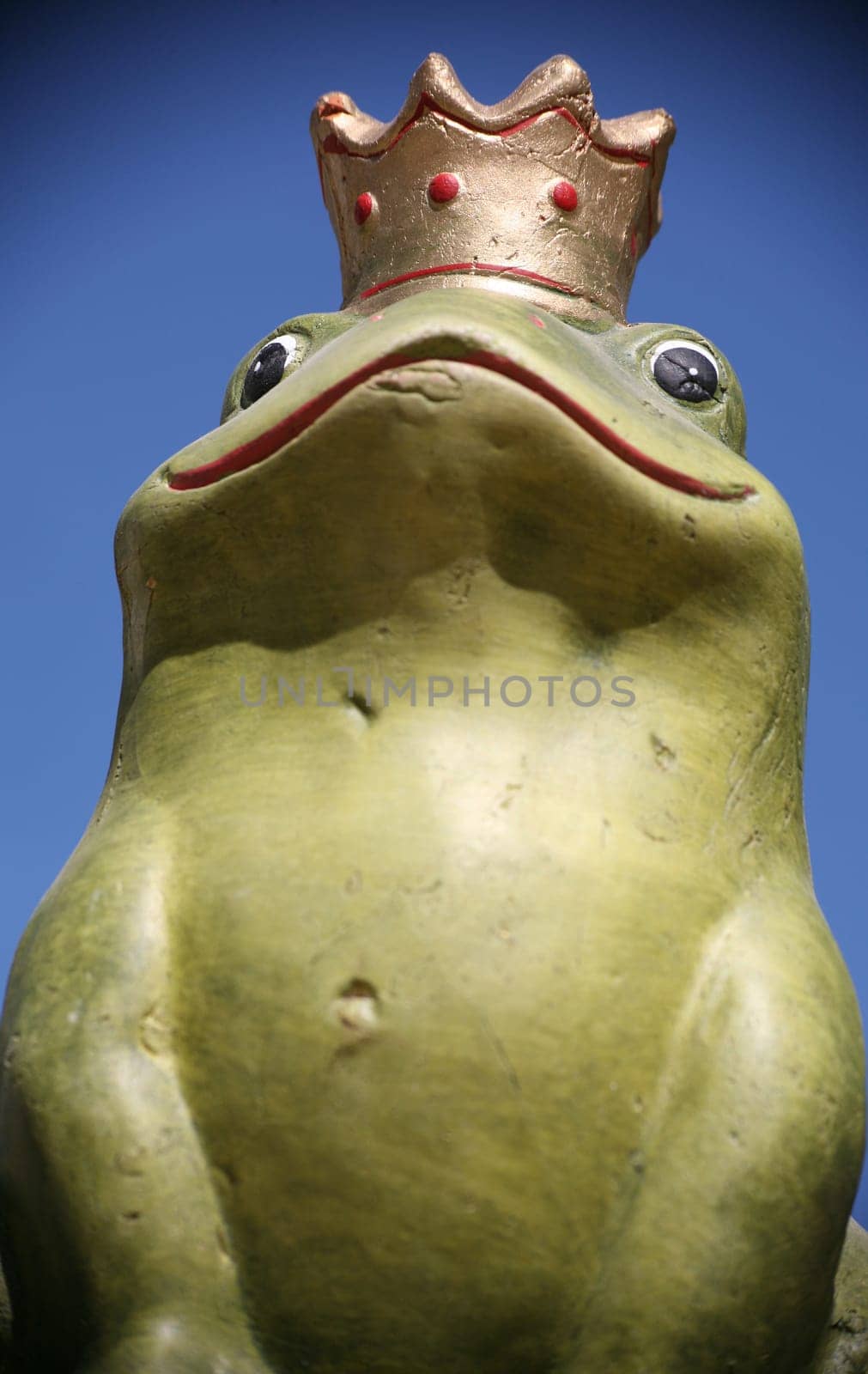 Frog Prince