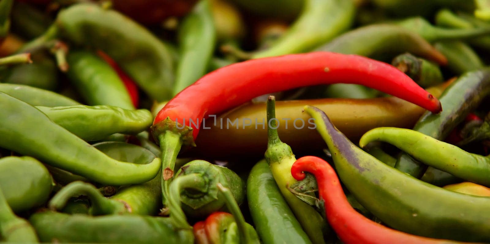 CHILLI