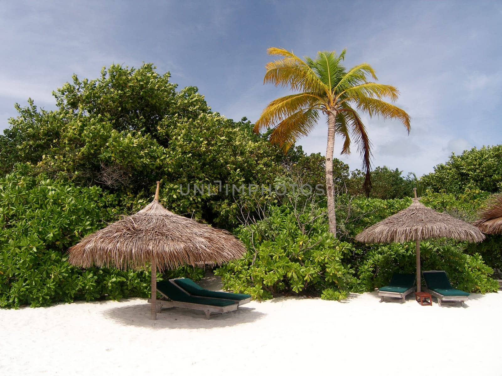On the beach of Reethi Beach in the Baa Atoll of the Maldives.
