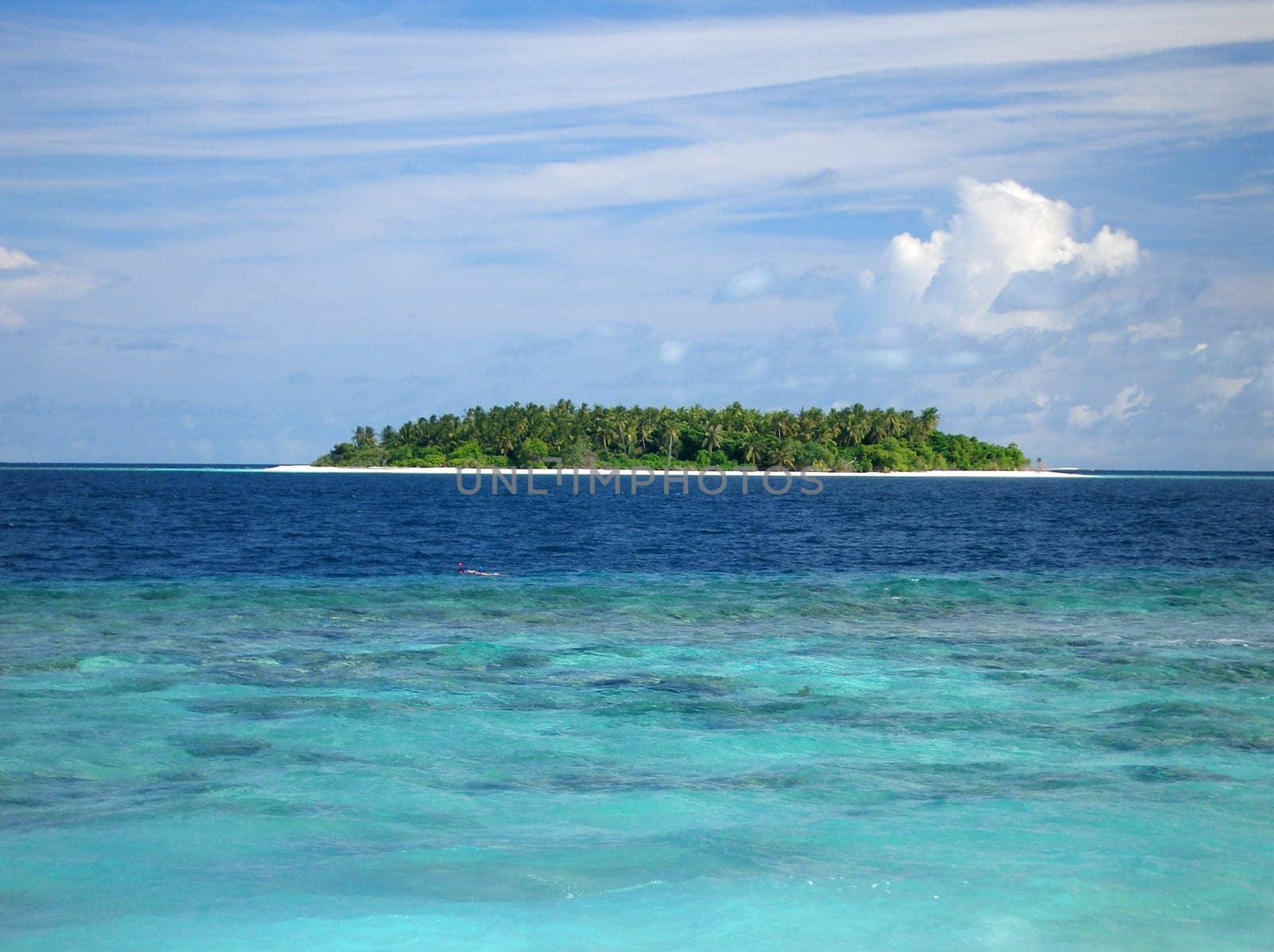 Dream Island