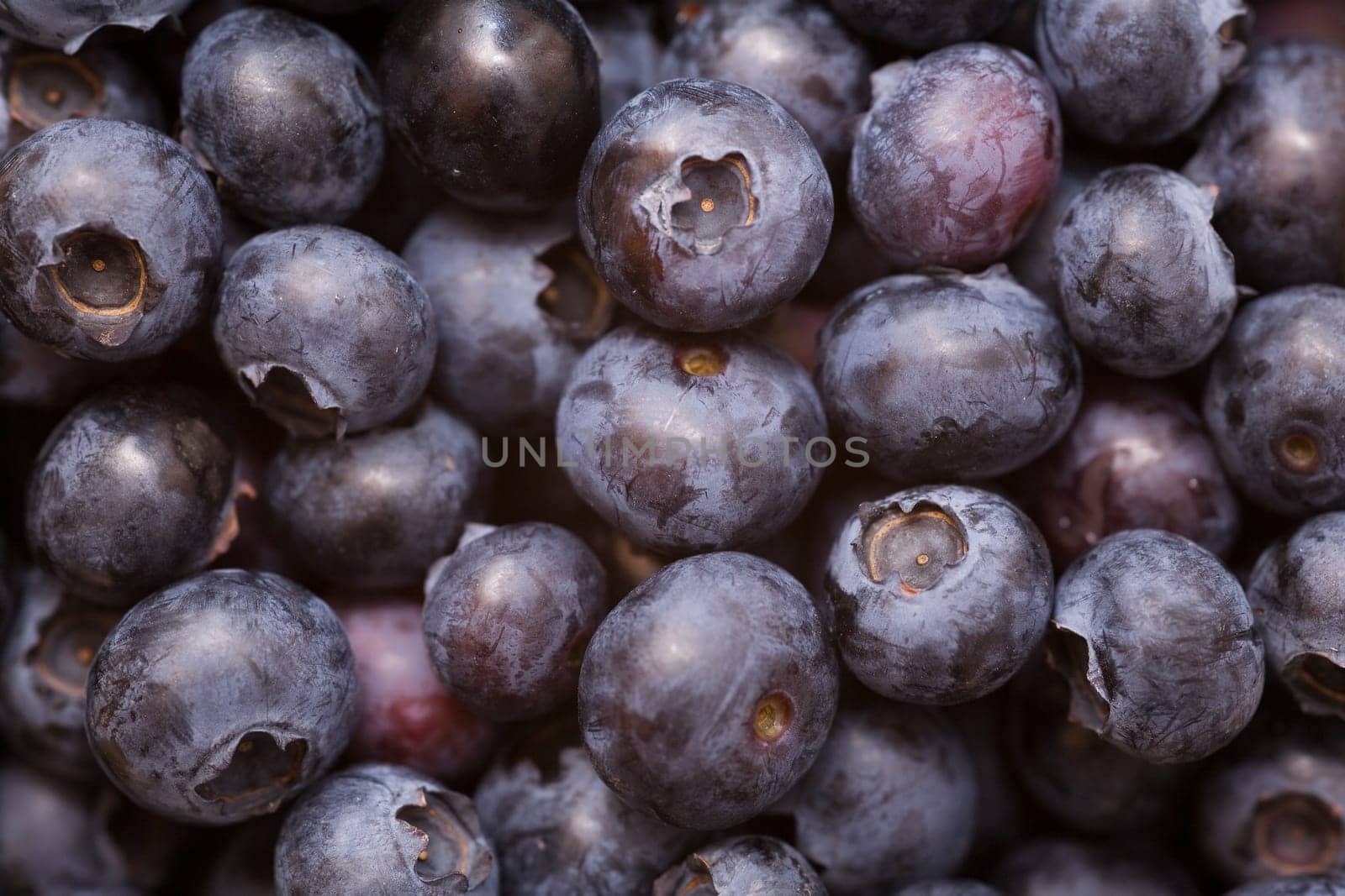 Blueberries Background