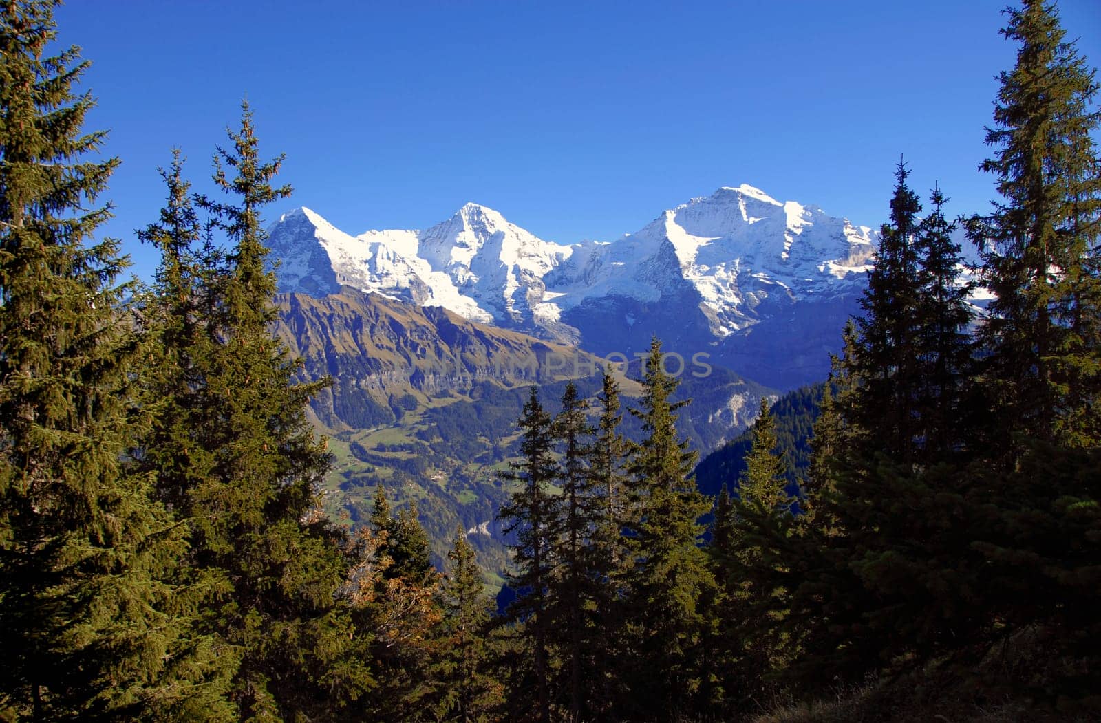 from left to right: Eiger - Mönch - Jungfrau