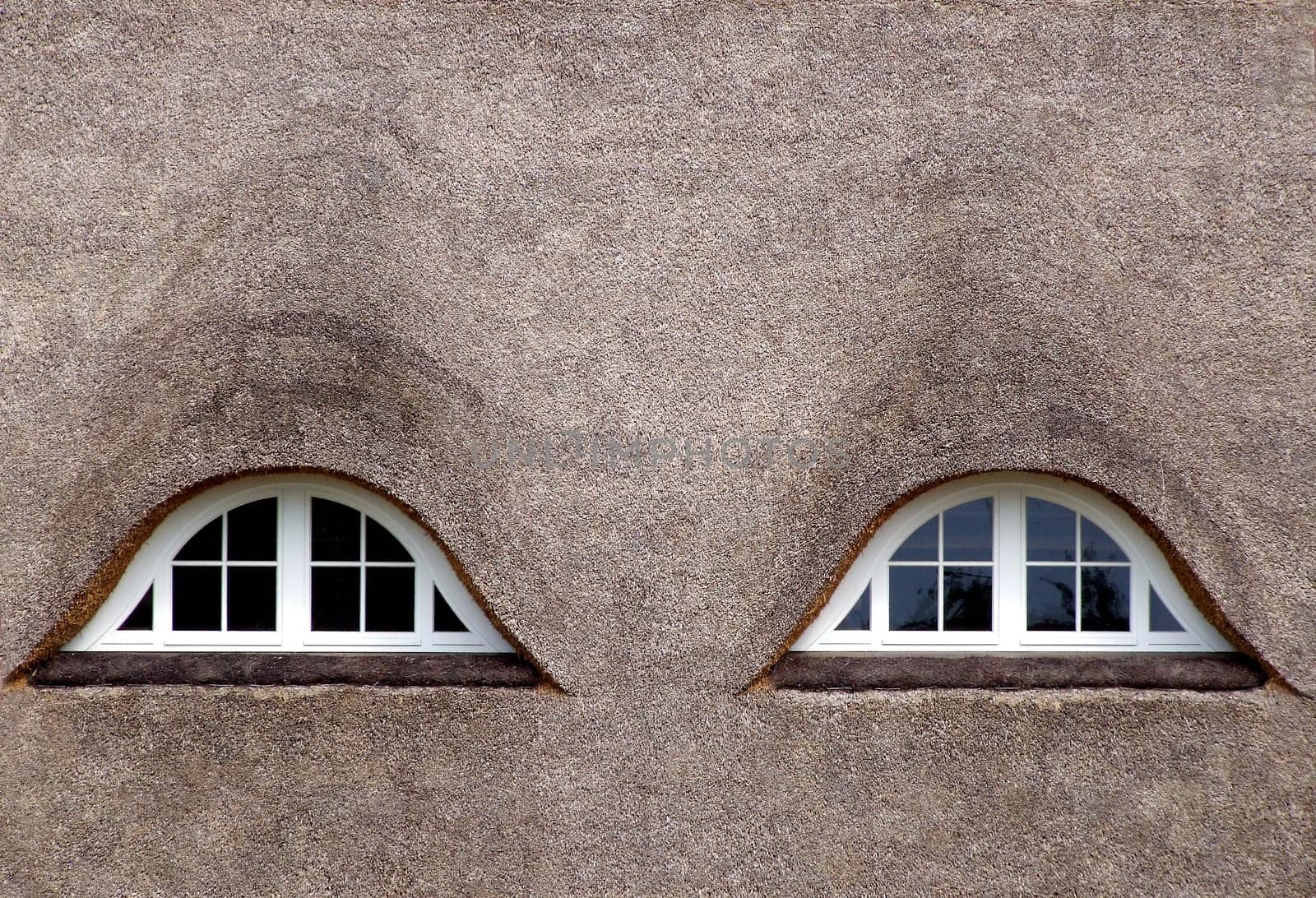 Thatched roof