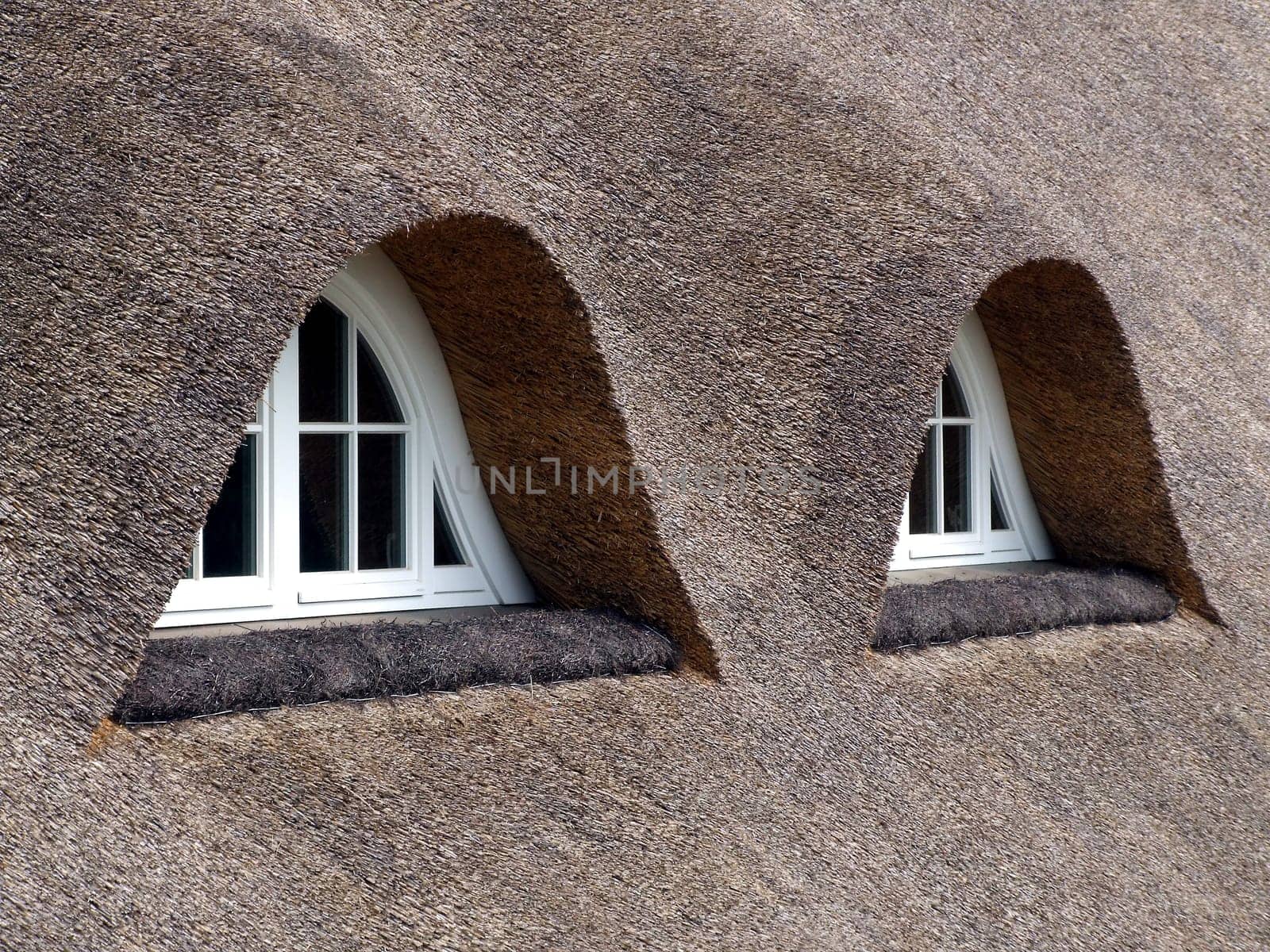 Thatched roof