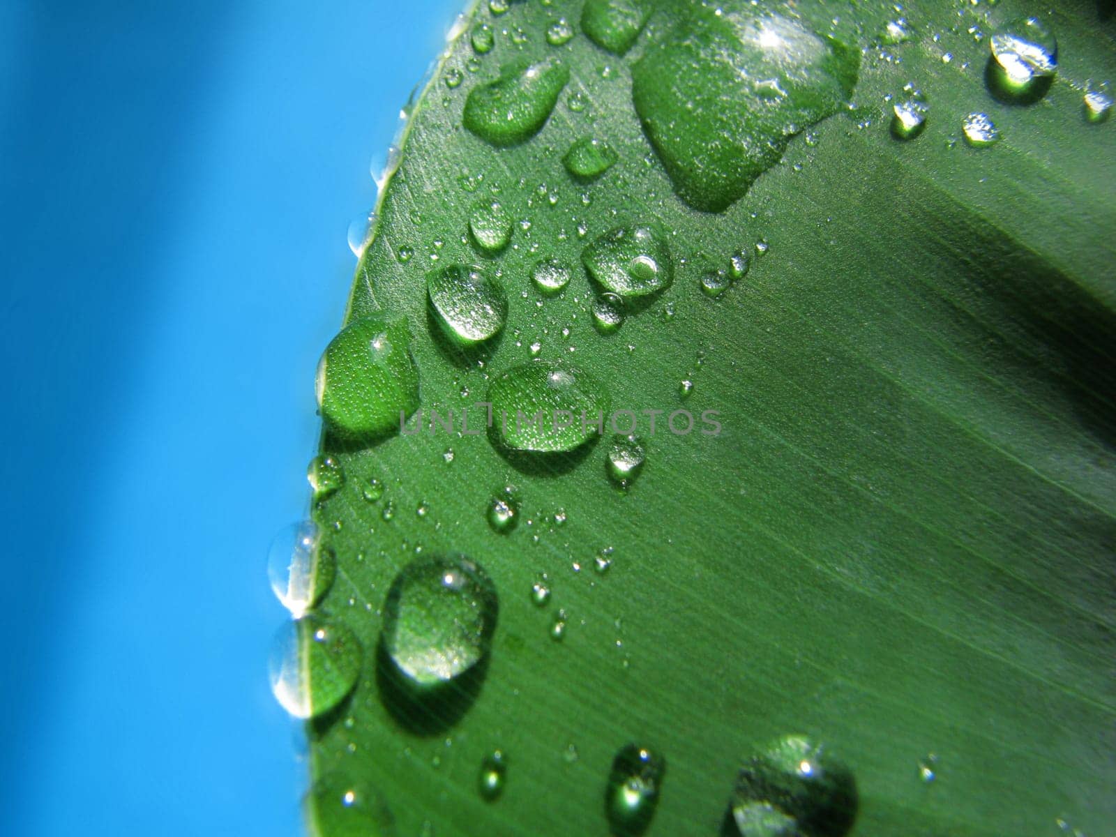 waterdrop