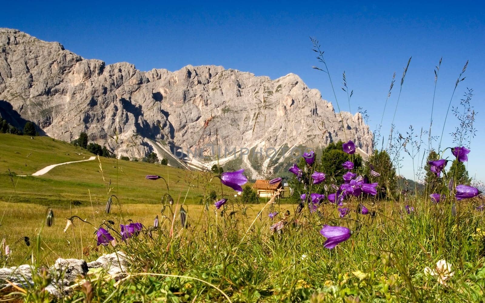 wonderful mountain scenery