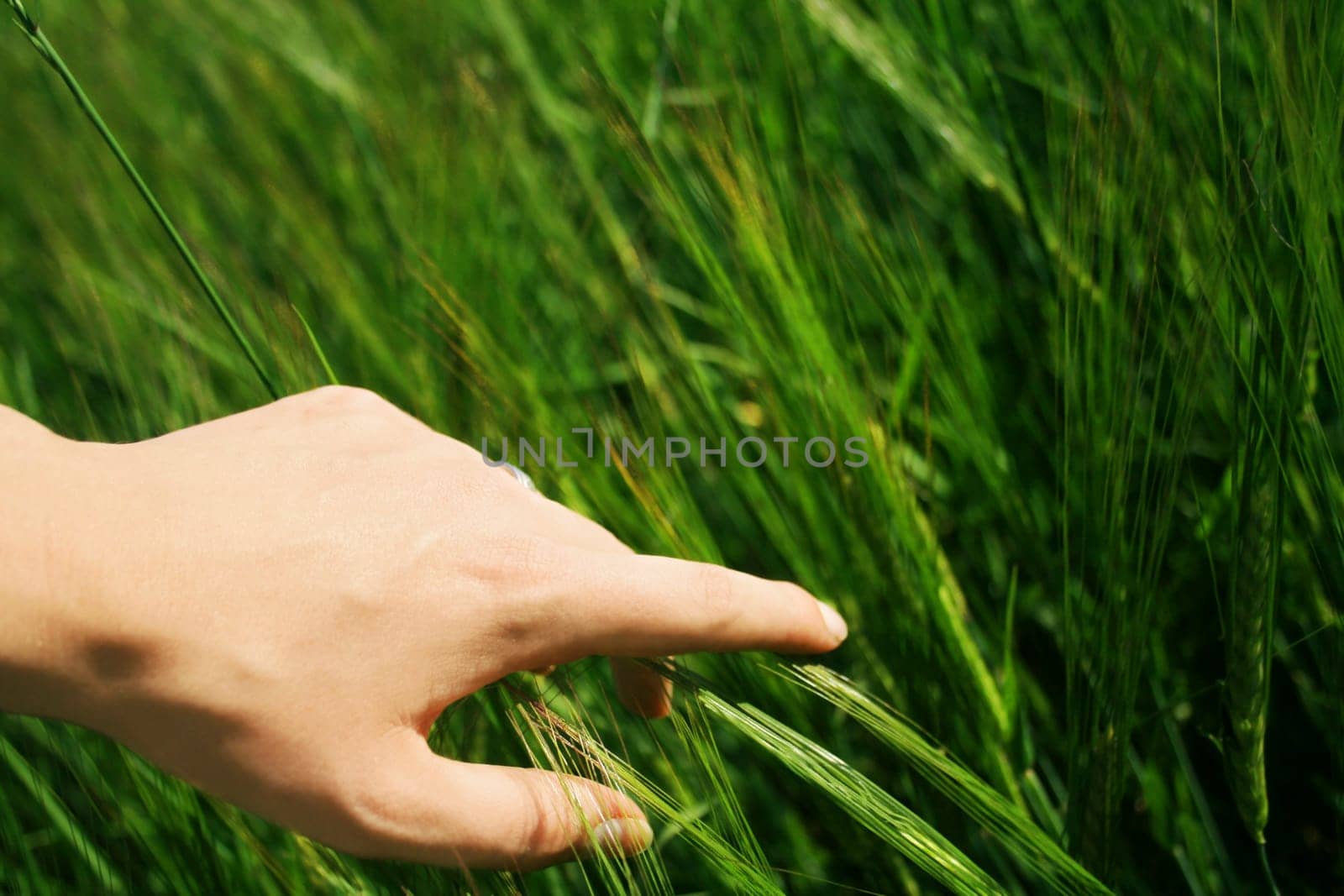 Love of nature