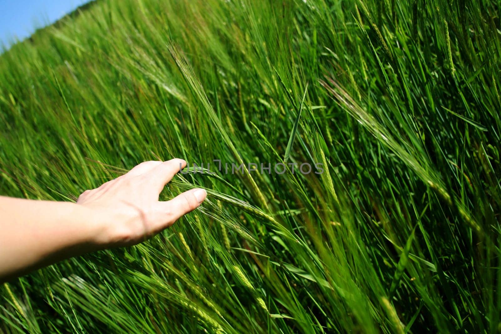 Love of nature