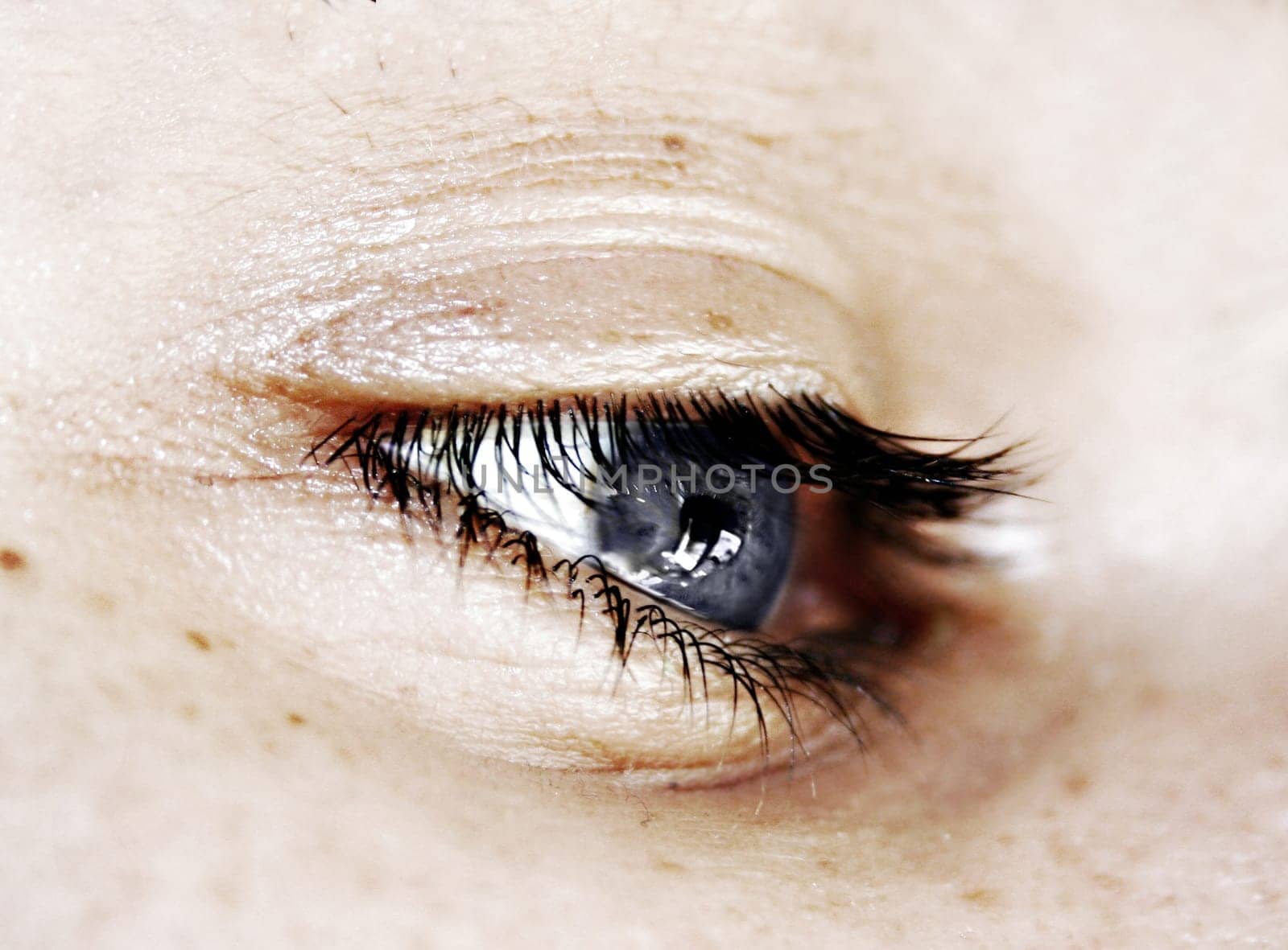 Macro Eye