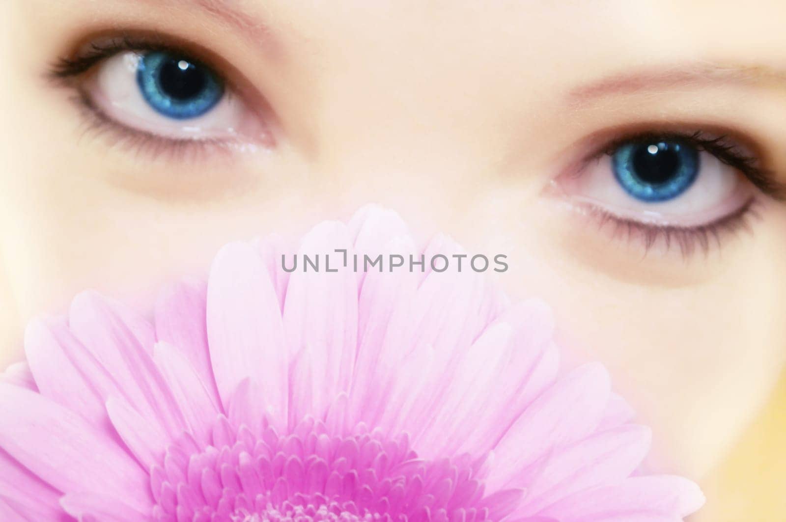 Beauty - Flower - Eye