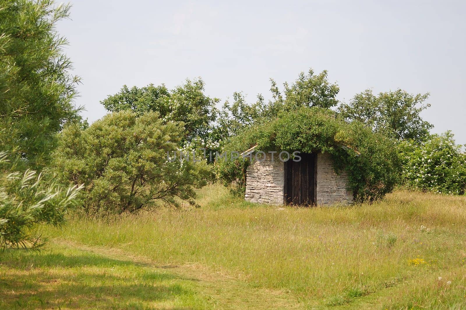 Small house