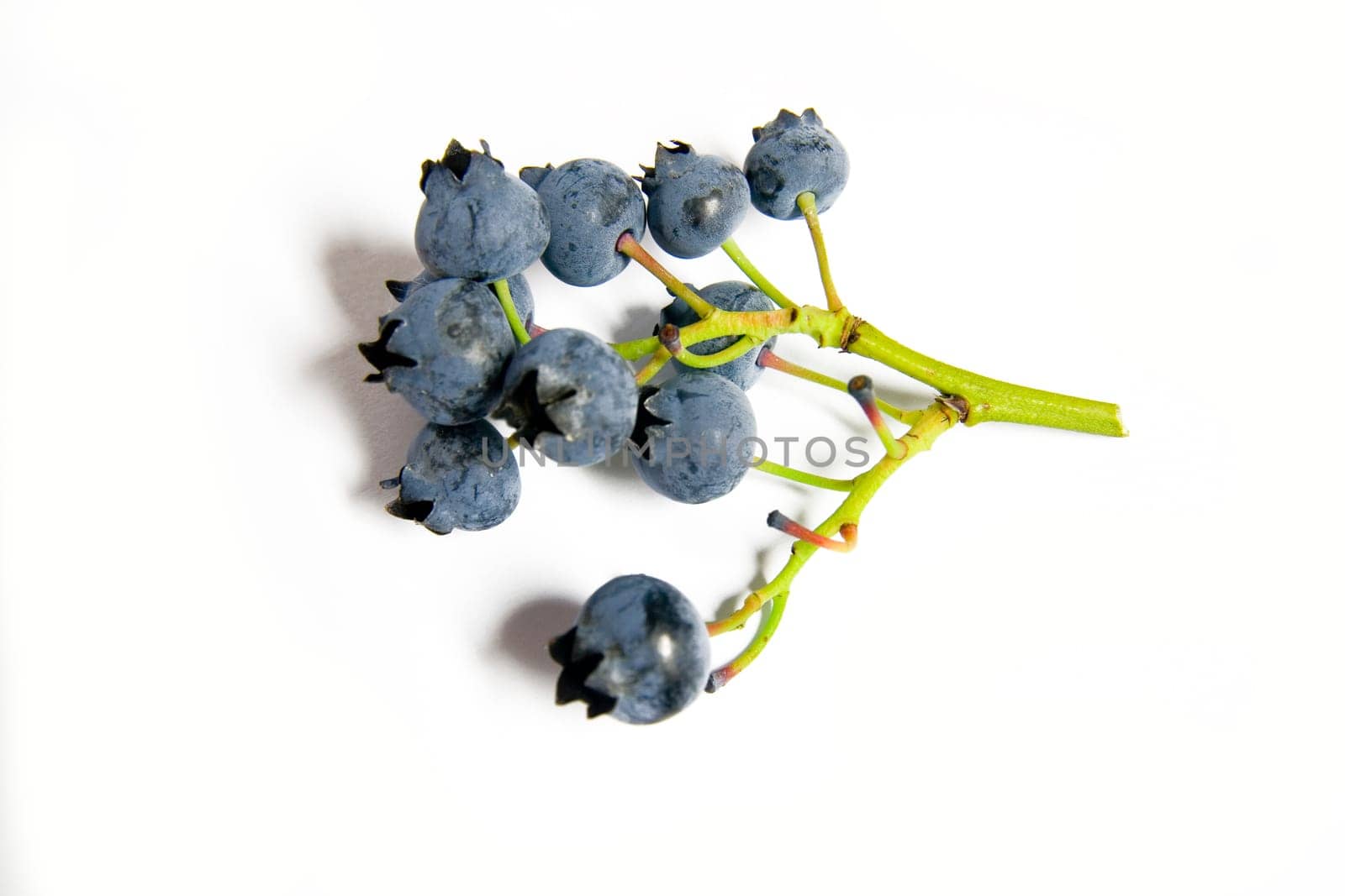Blueberries