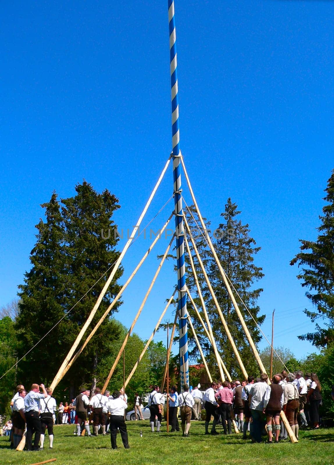 Maypole erection