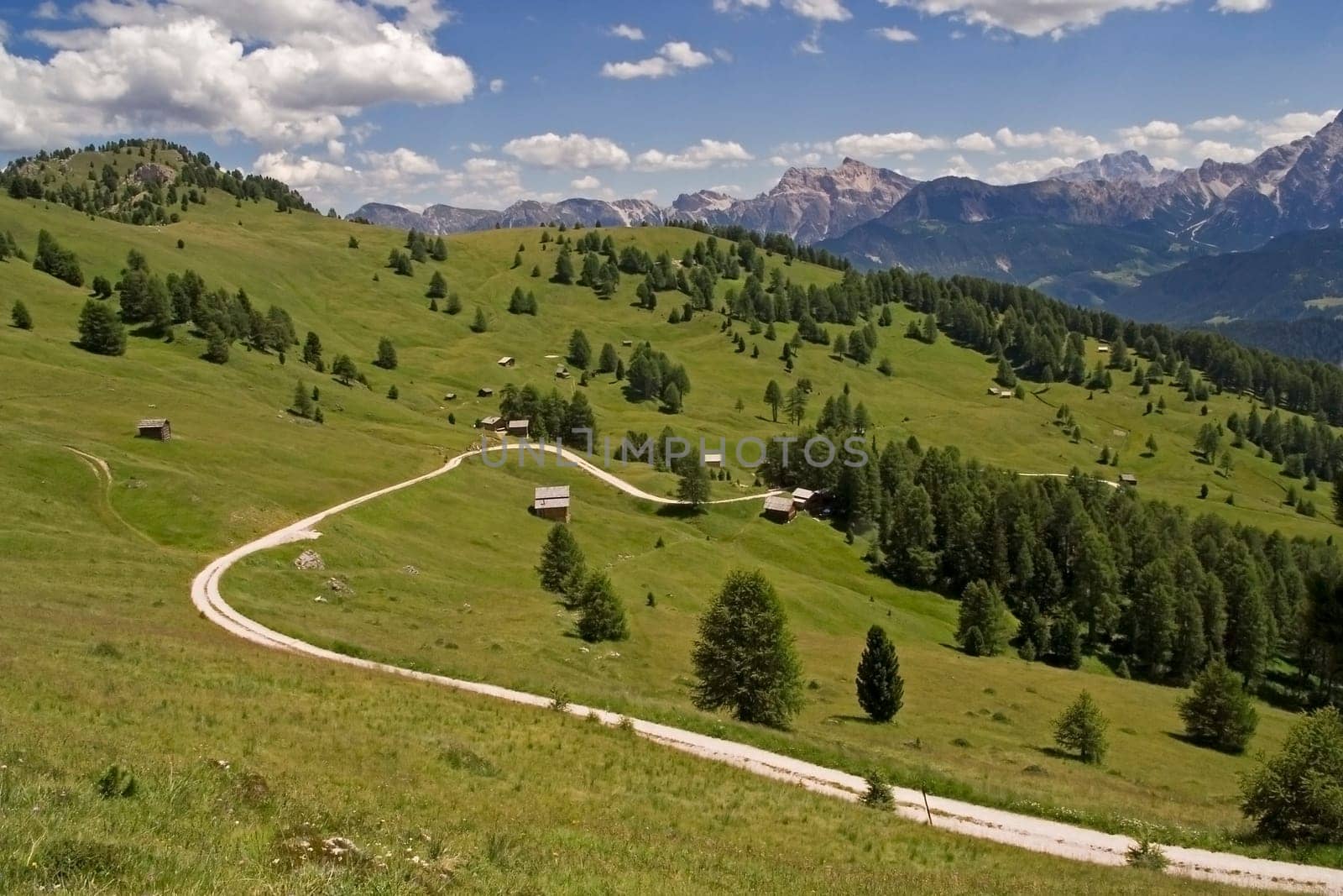Alpine meadow