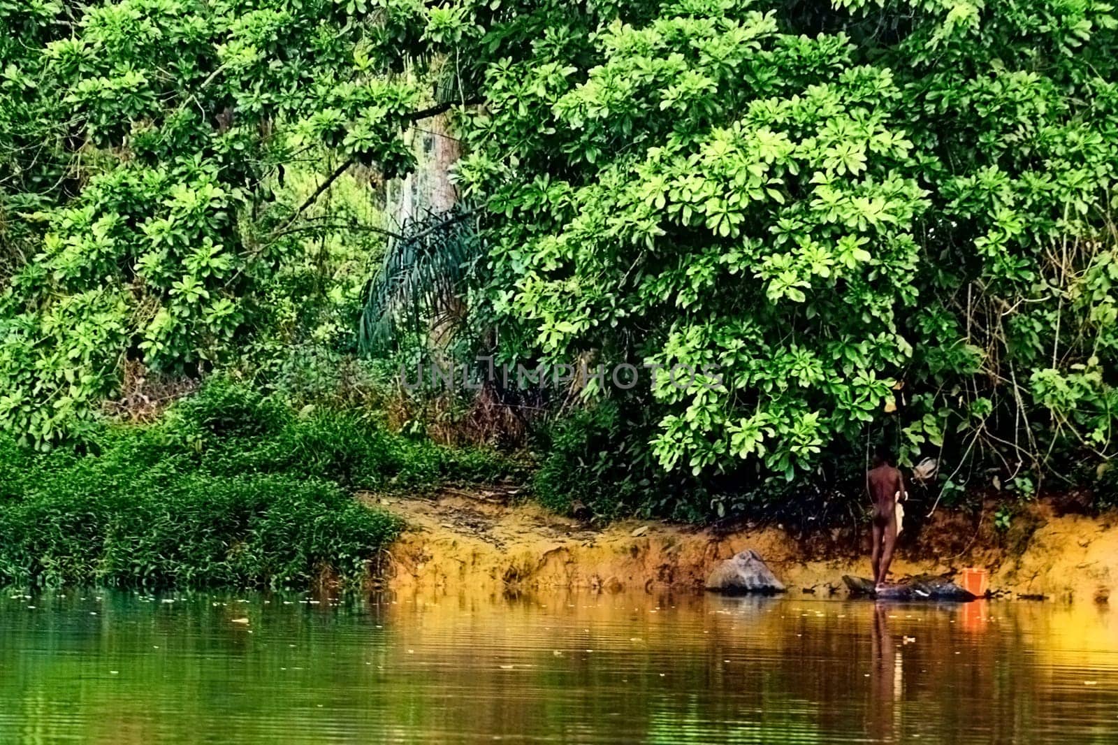 With the last bidl my series from the Cameroonian rainforest began. For two days I was able to take a boat trip up the Lobé river with my wife and a local guide. This rainforest area is protected,it is huge,probably.