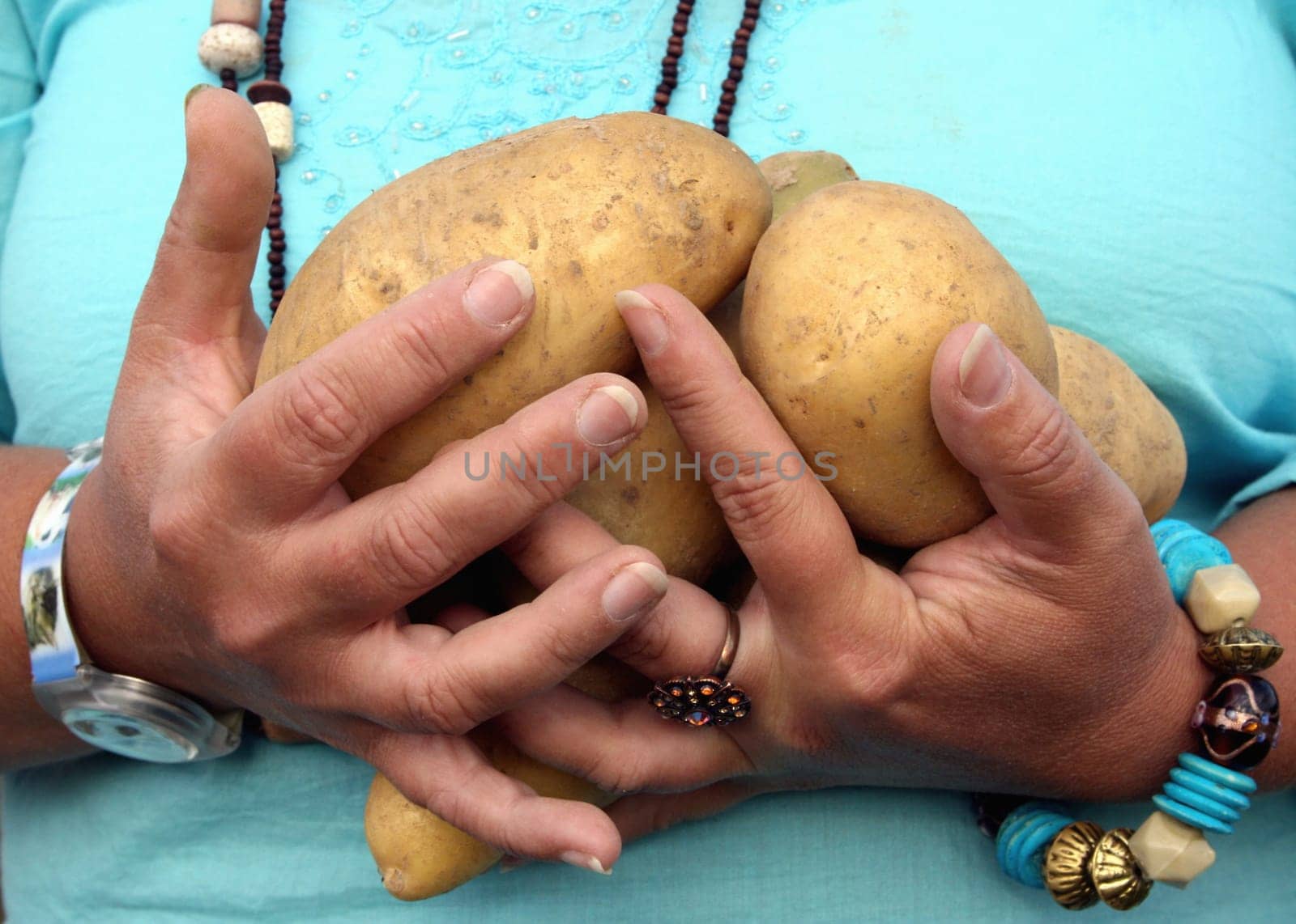 Potato harvesting