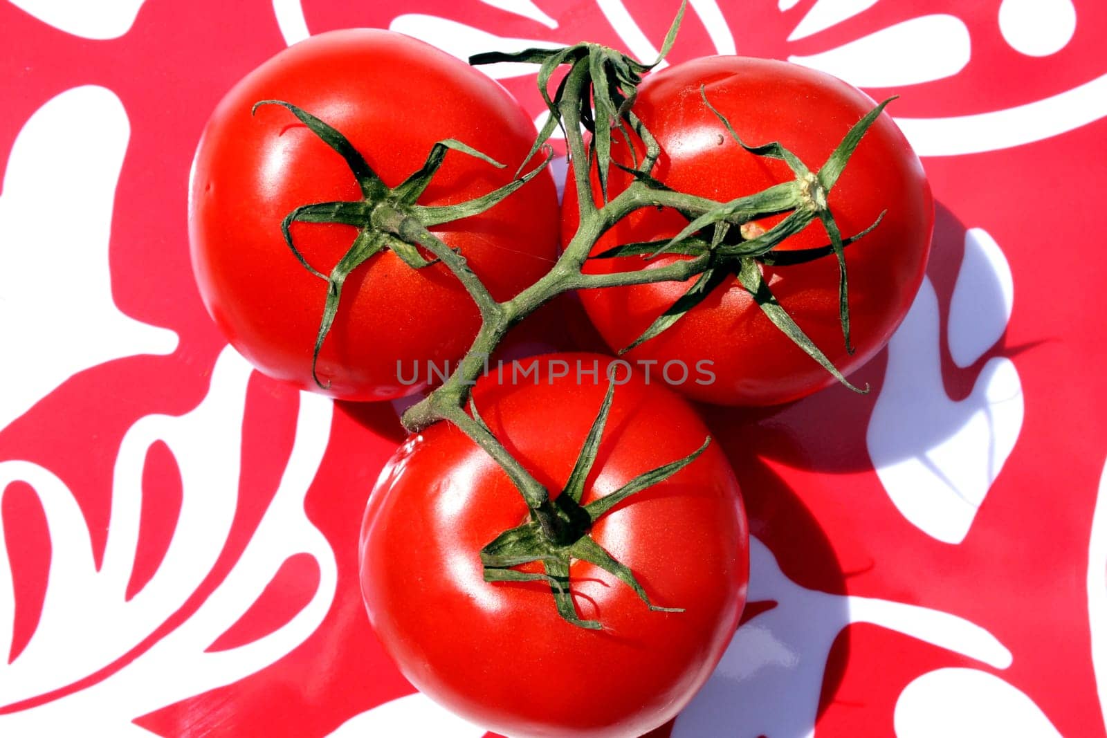 Peppy tomatoes