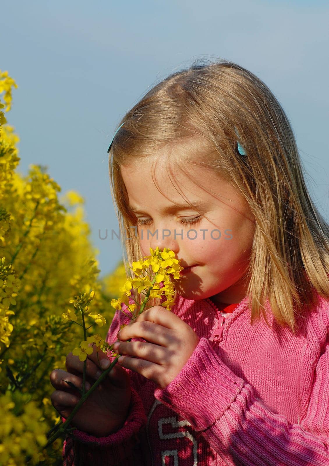 Smelling and dreaming