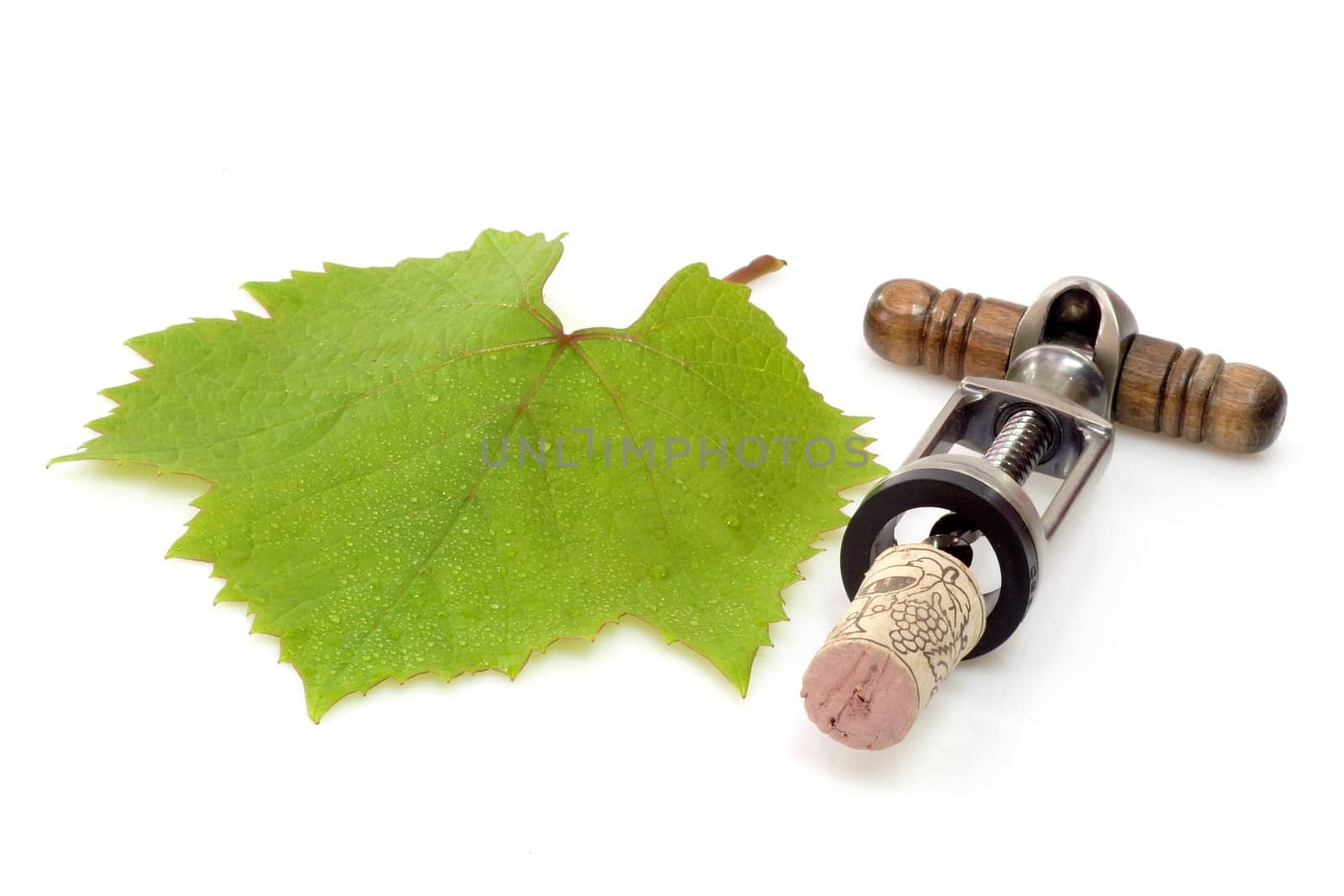 Grape leaf with corkscrew