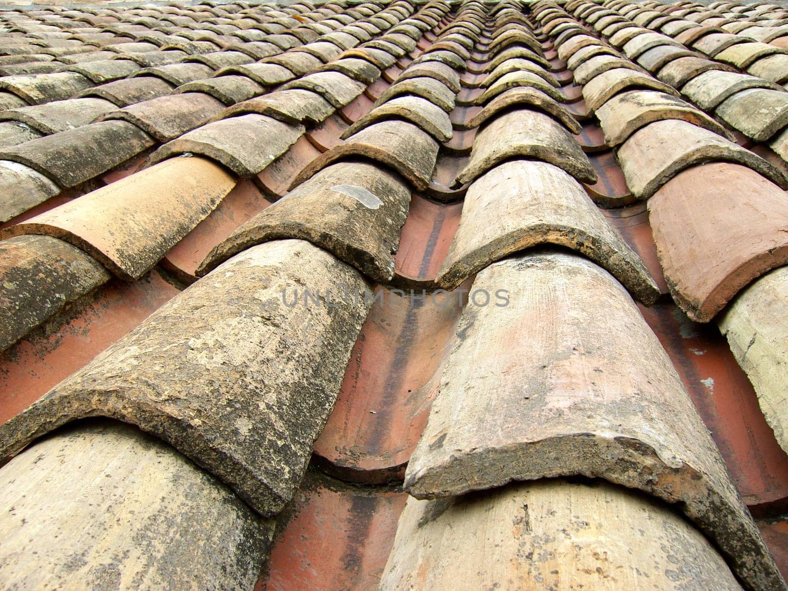 Roof tiles 01