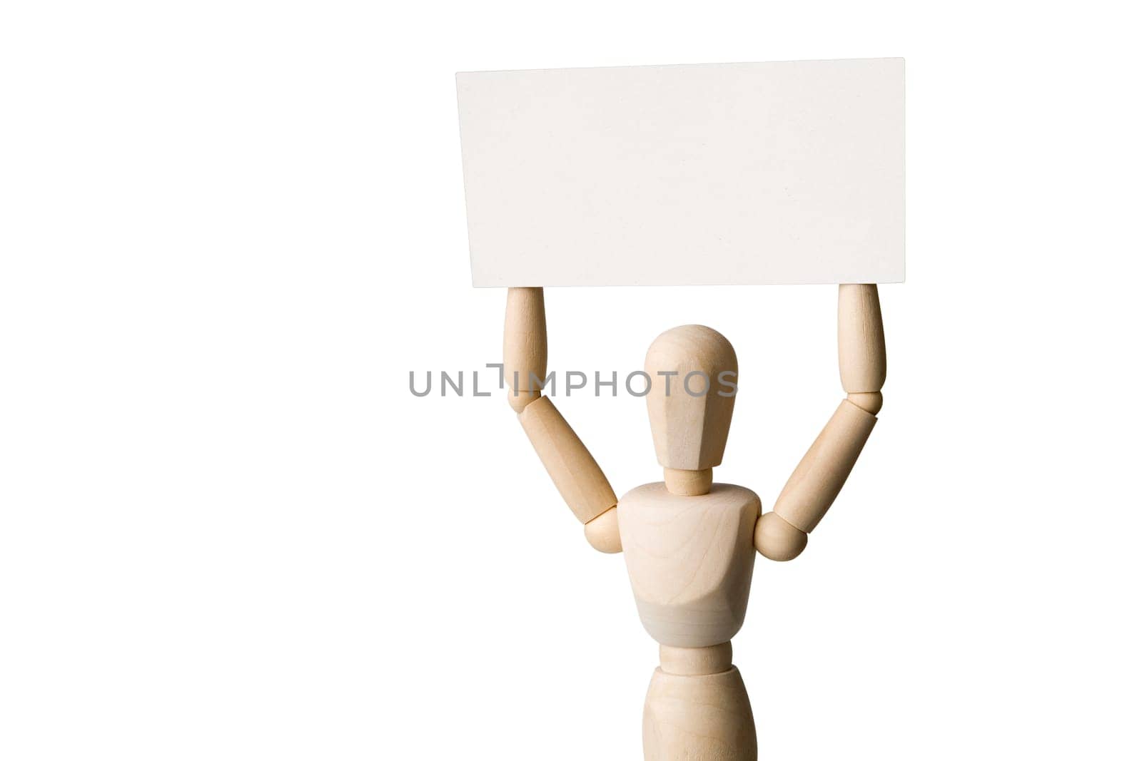 Articulated doll with shield