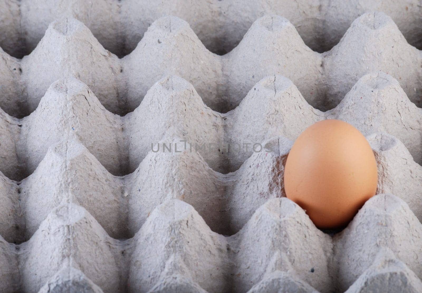 An egg on a pallet