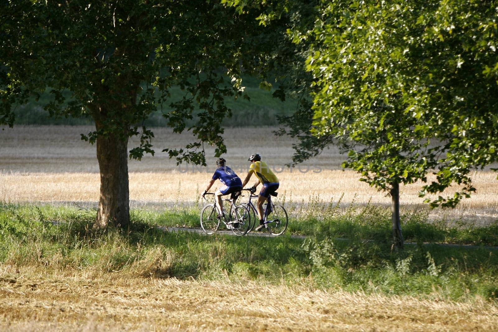 Cyclist