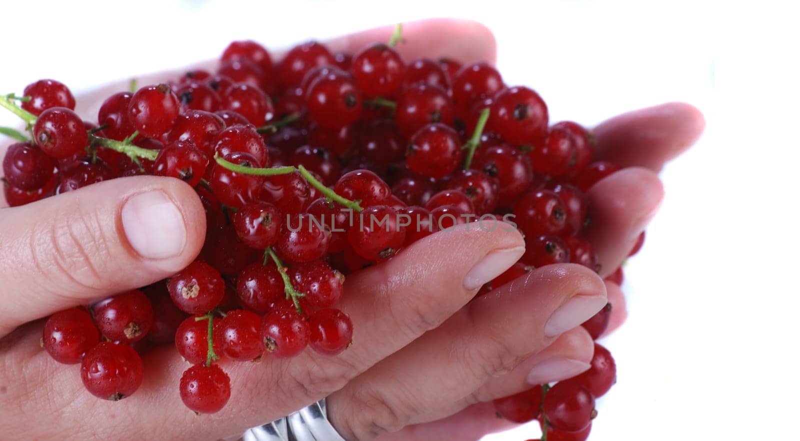 Fresh currants