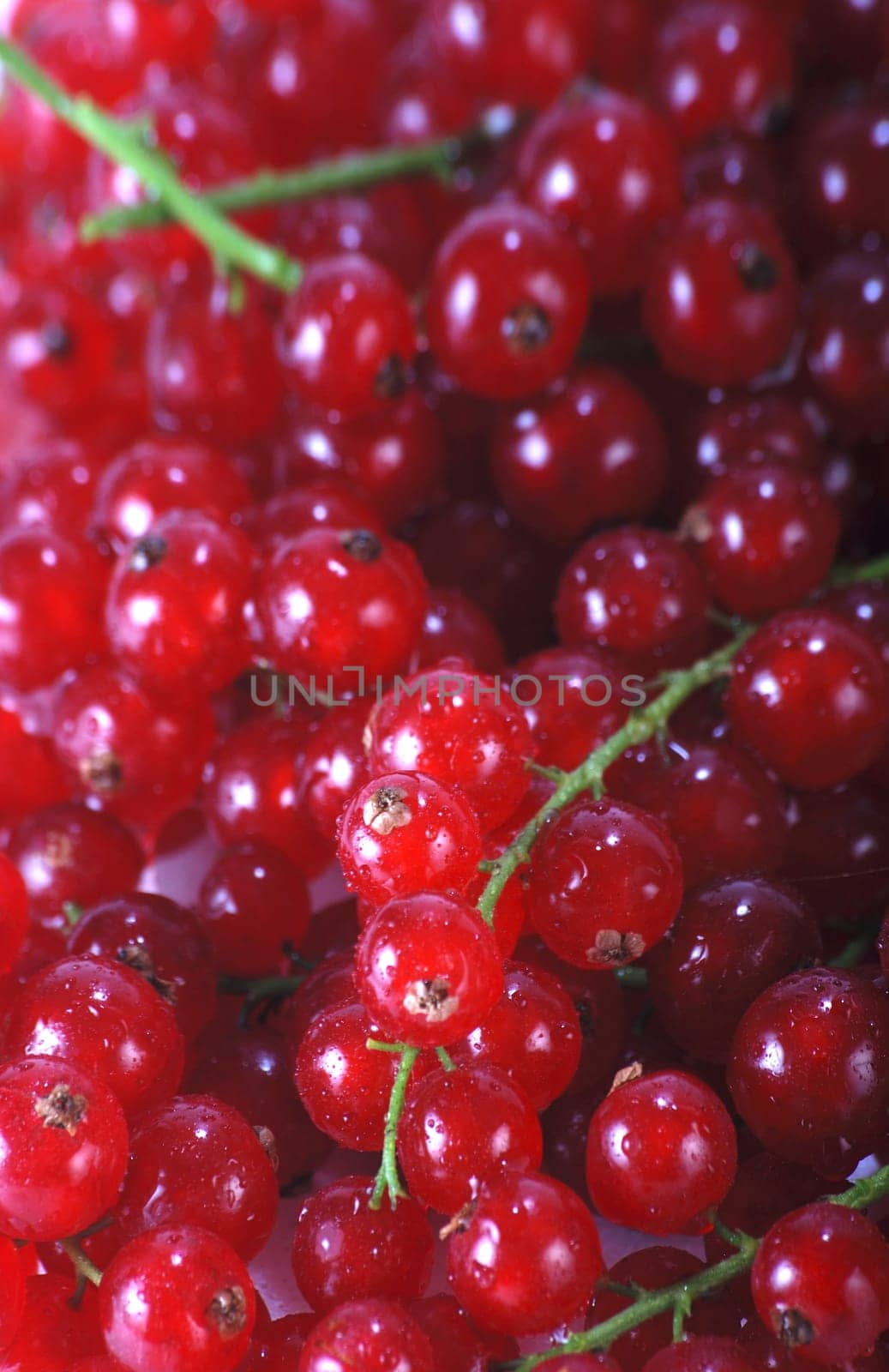 Currants