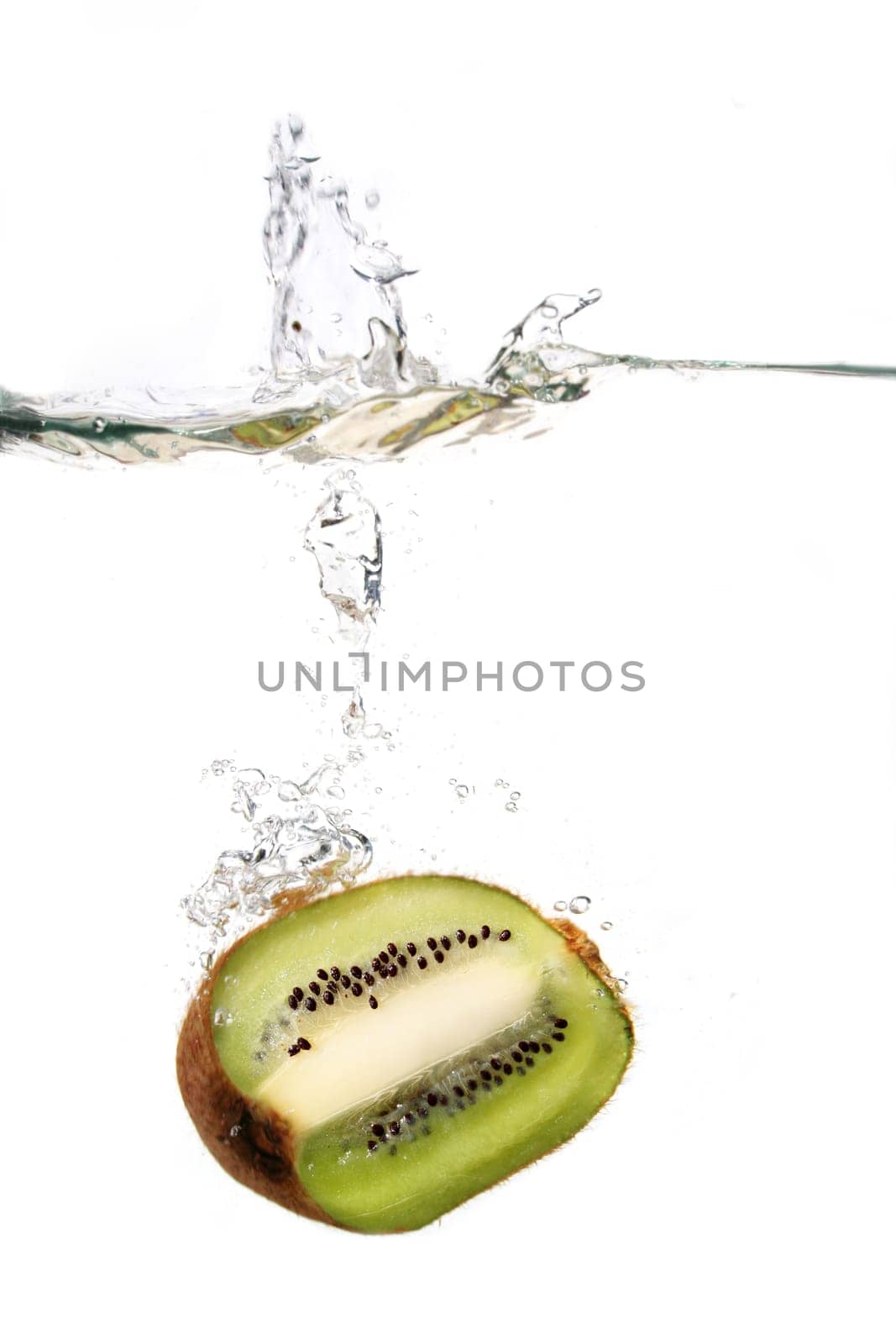Kiwi in the water
