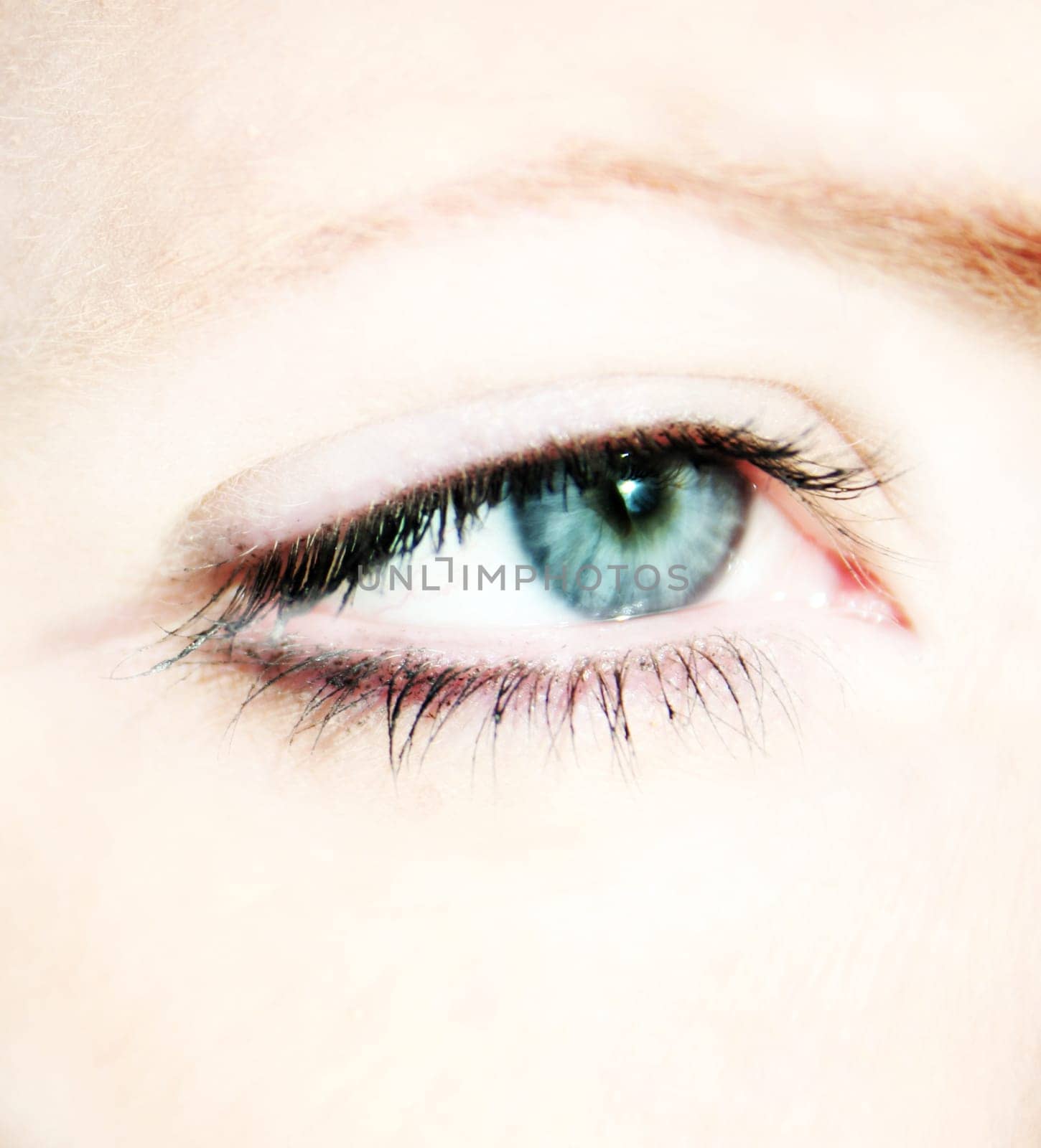 Macro Eye