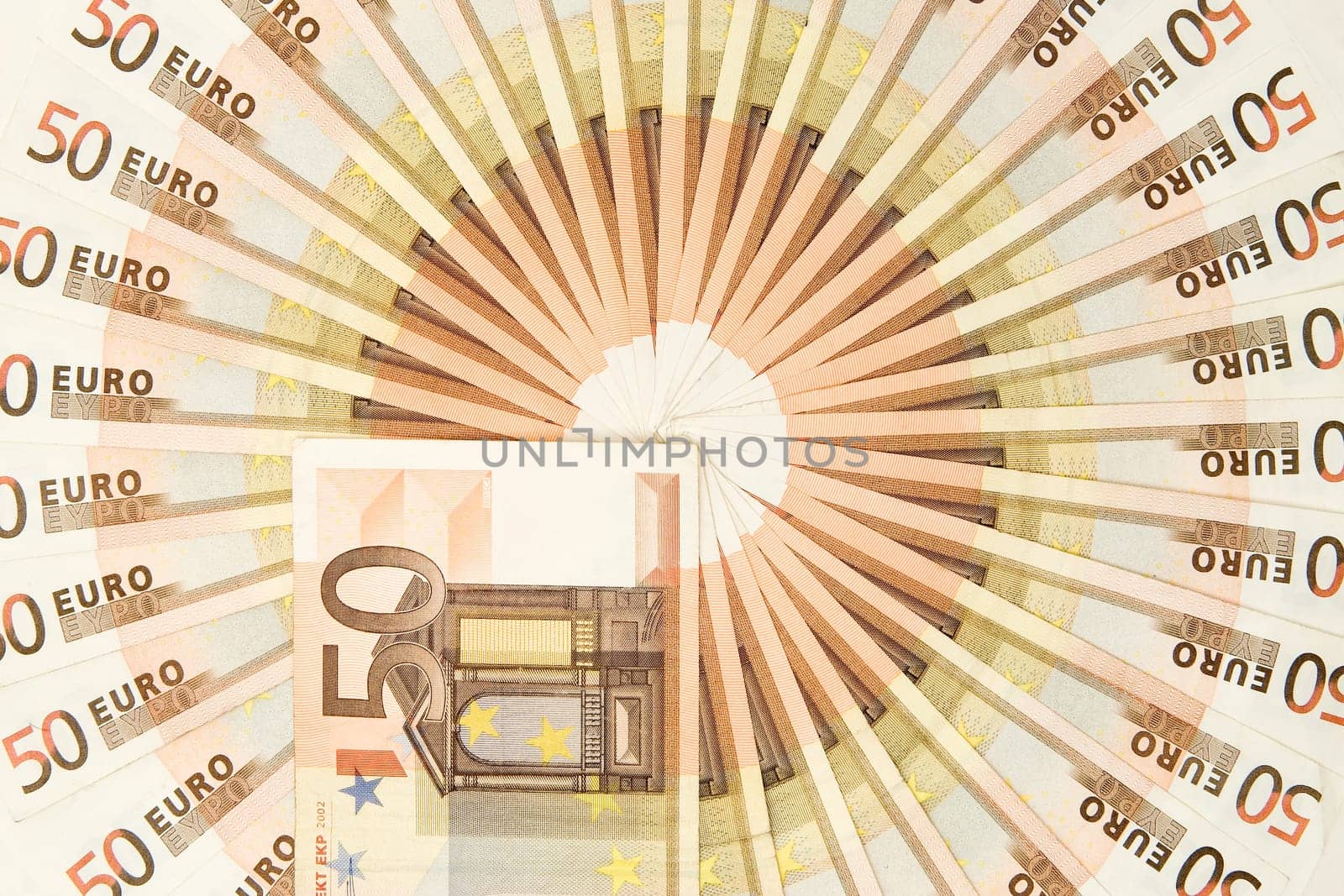 50 Euro Money Snail