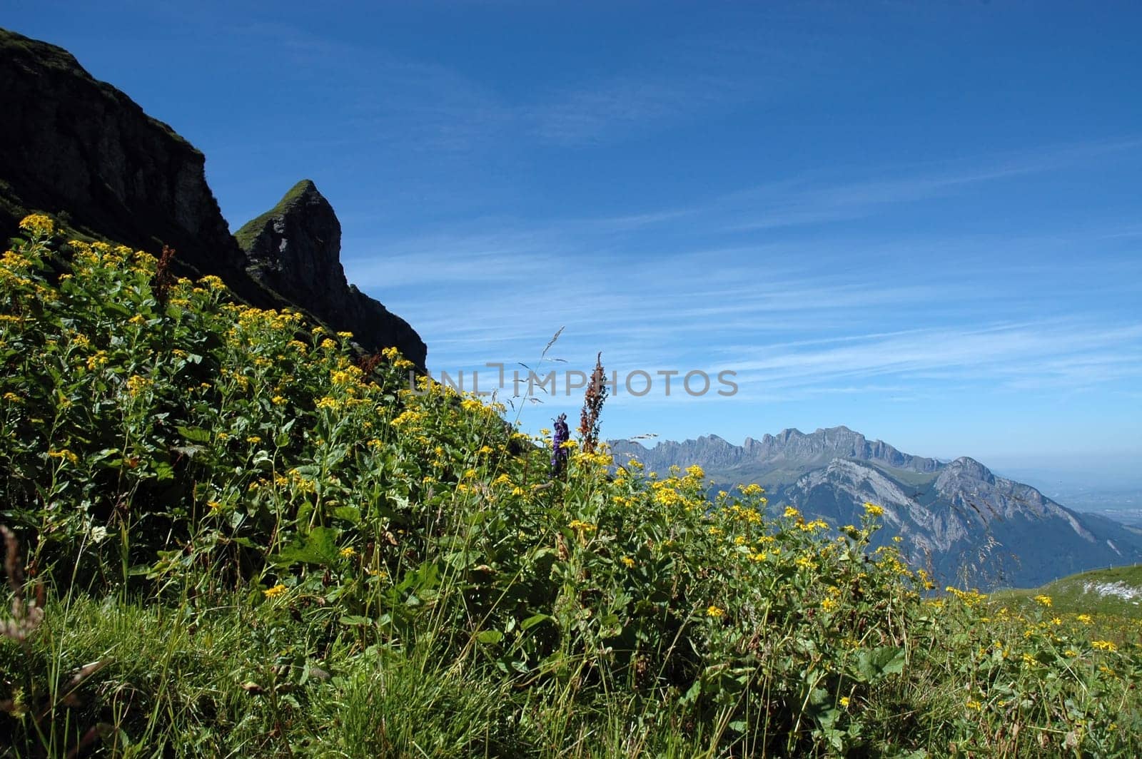 Out and about in the Swiss mountains