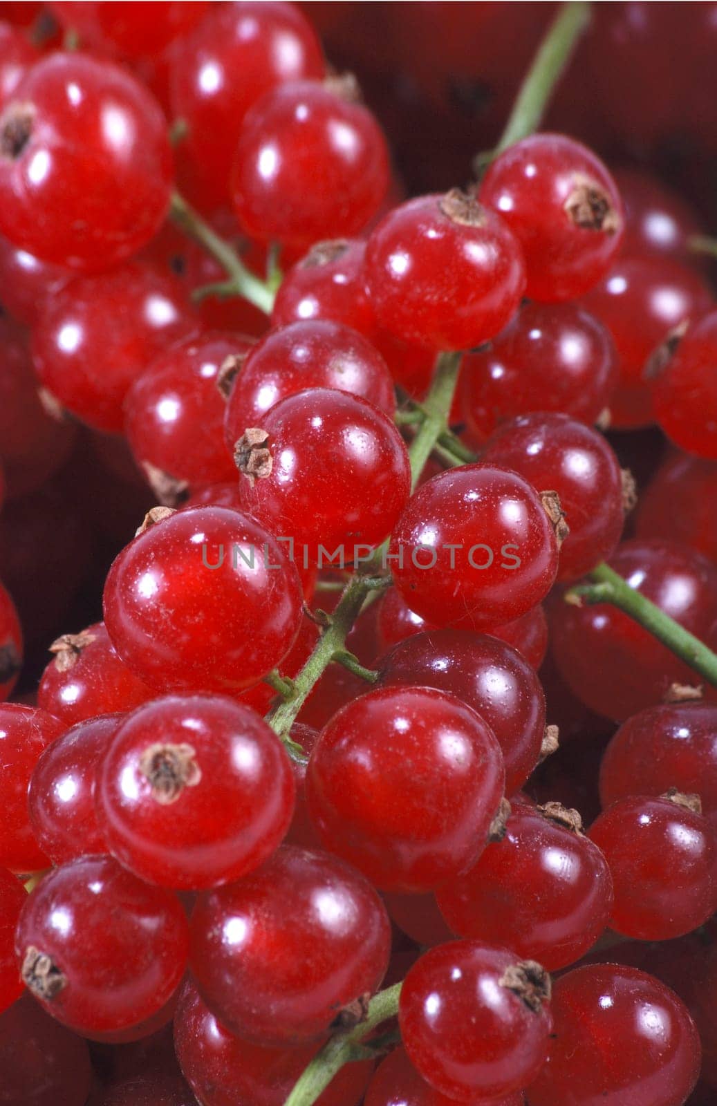 Currants