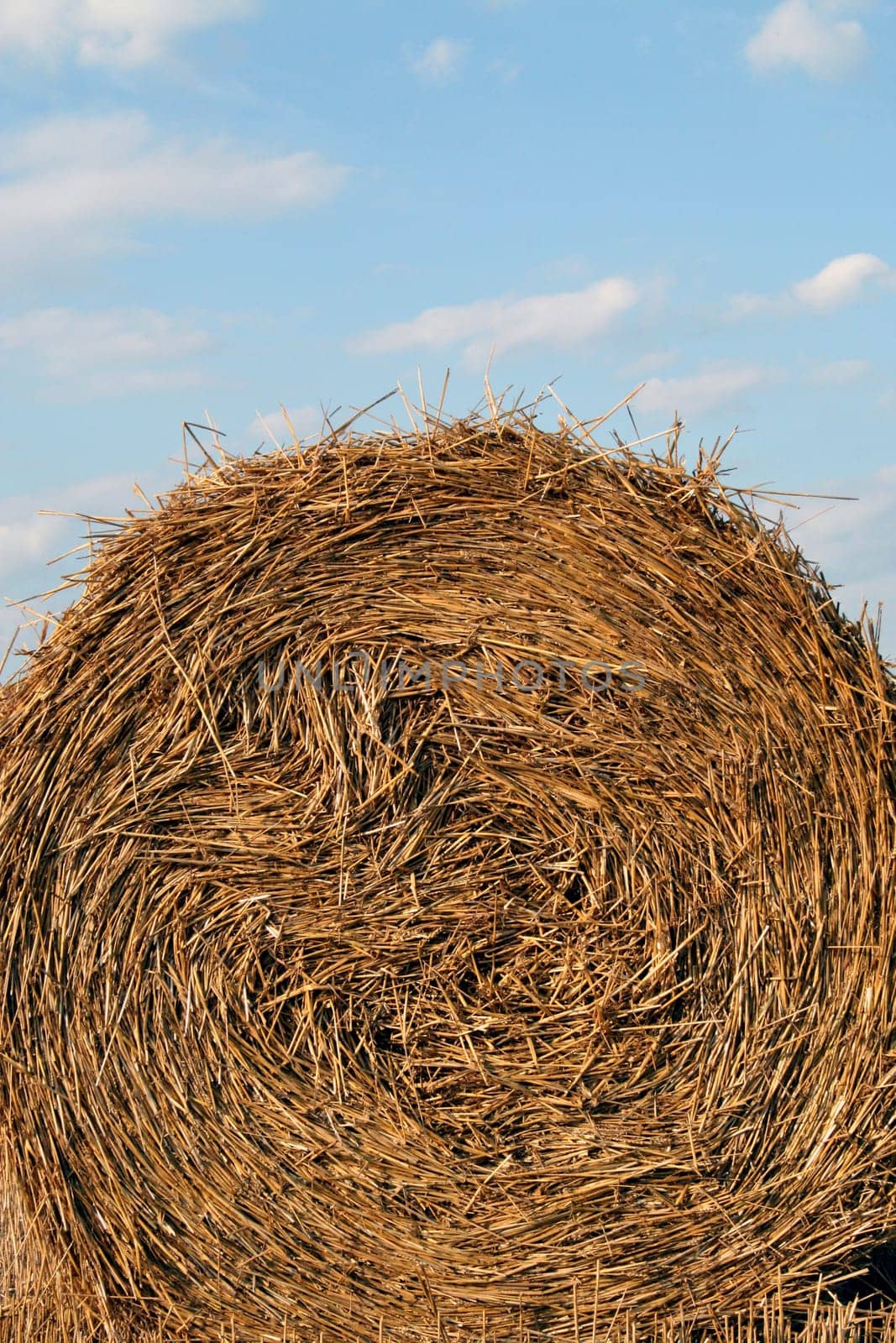 Straw bales (3)