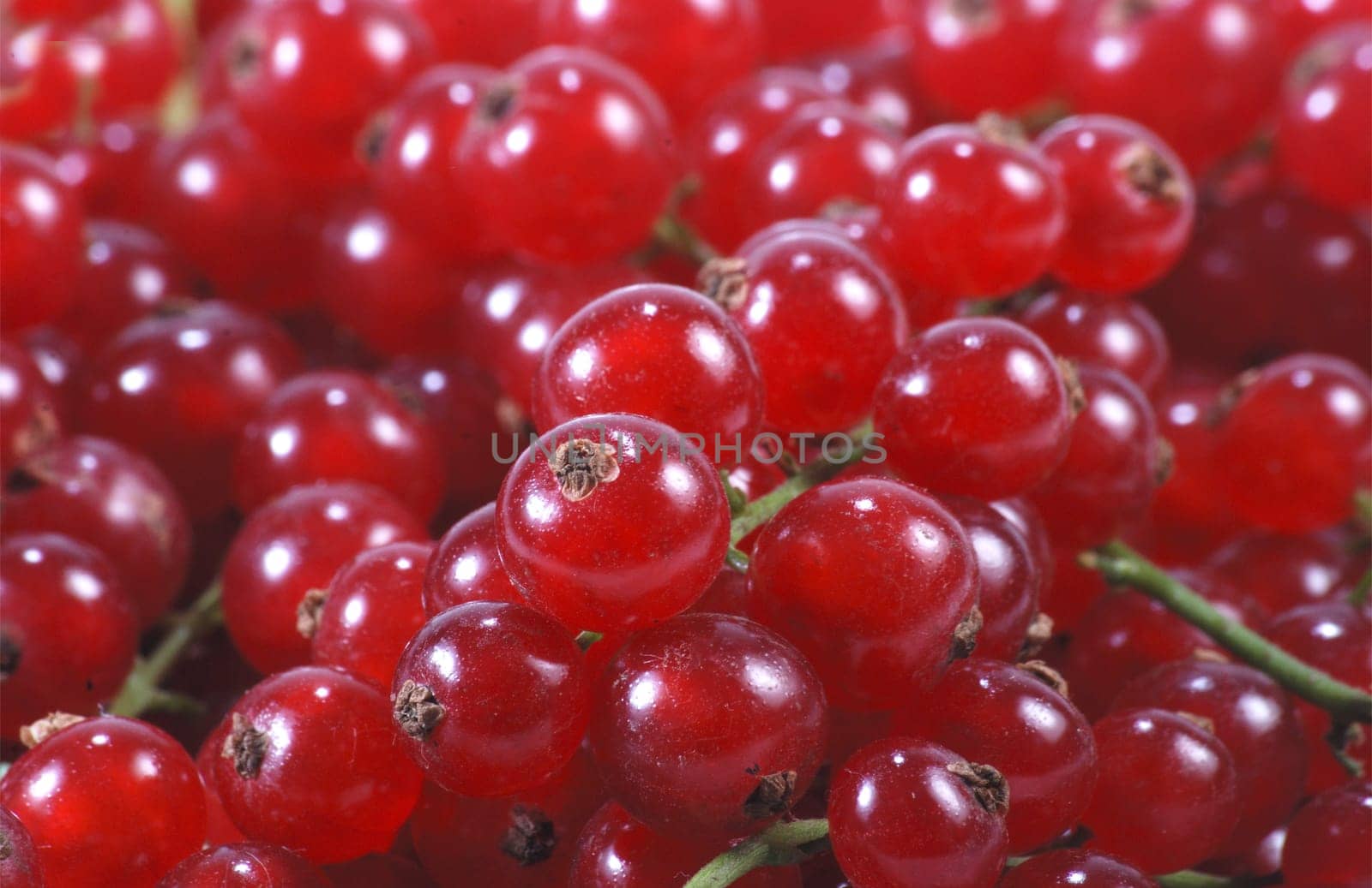 Currants