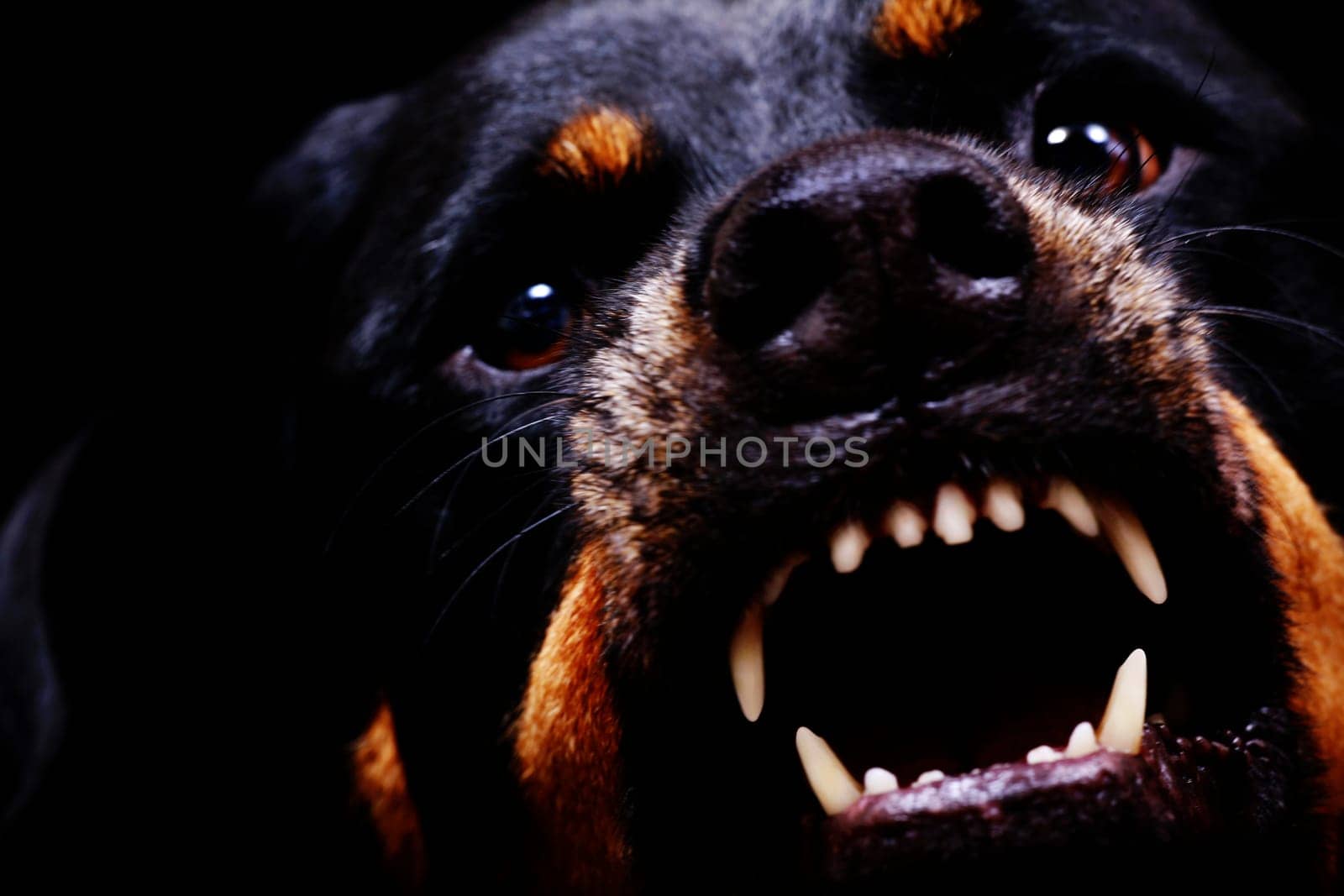 Hmmm a tasty EOS 5D
