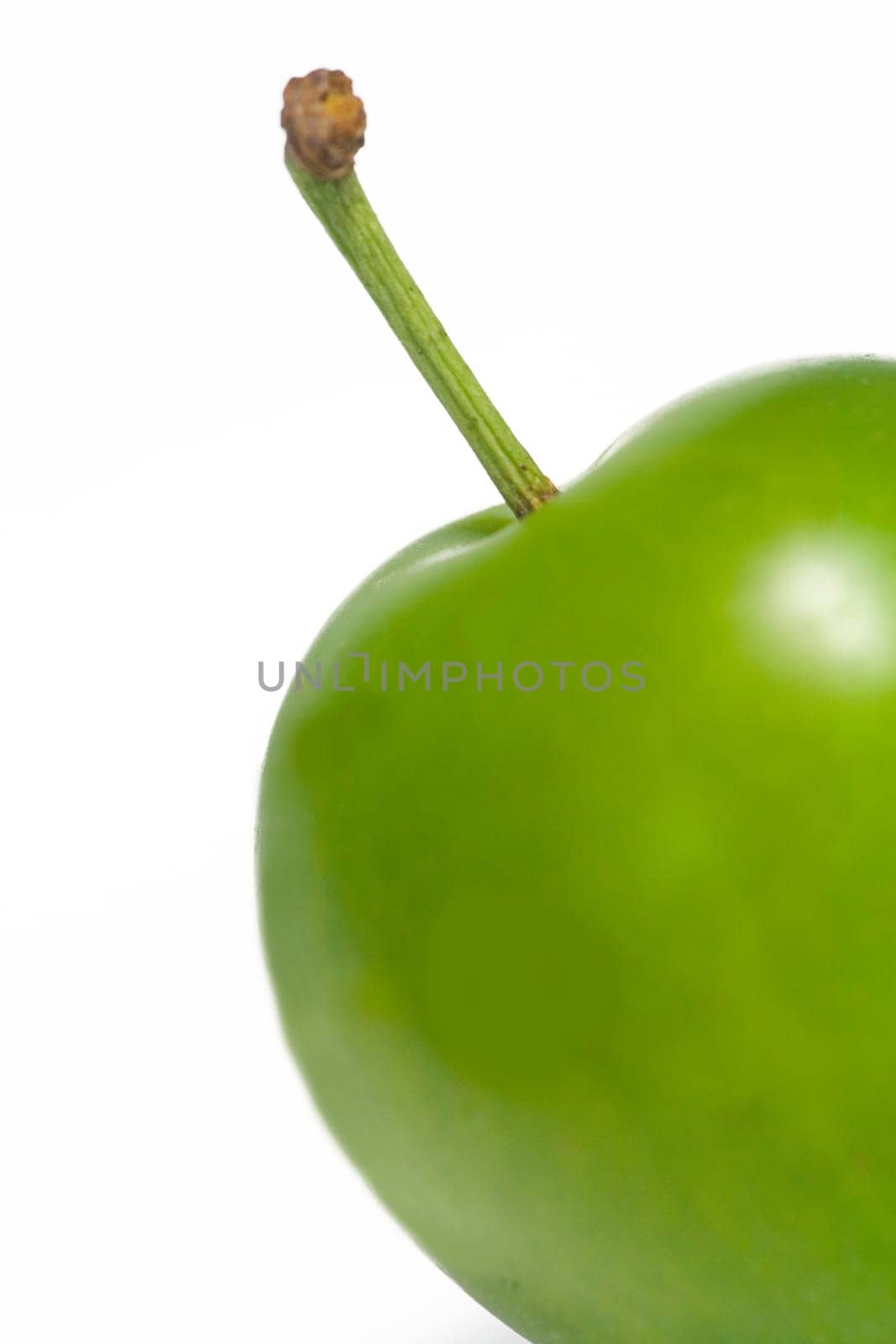 Egg plum