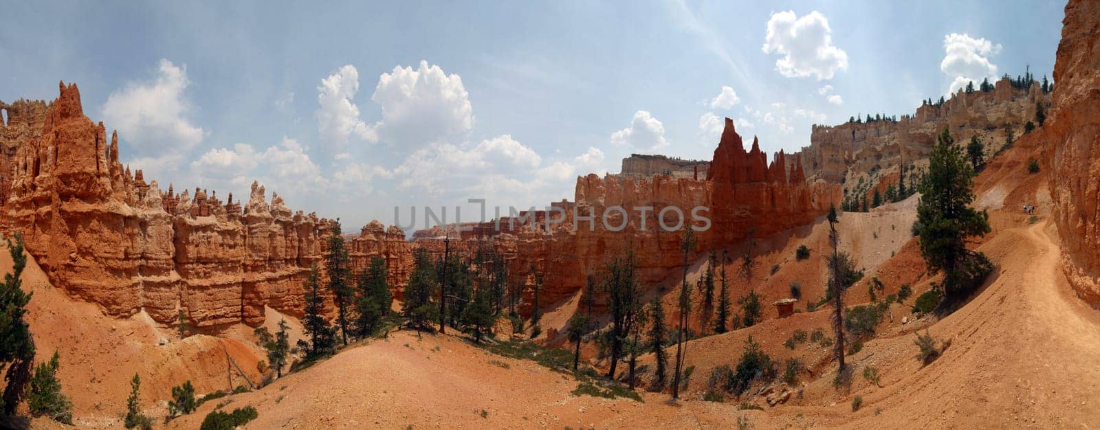 Bryce Canyon National Park Panorama