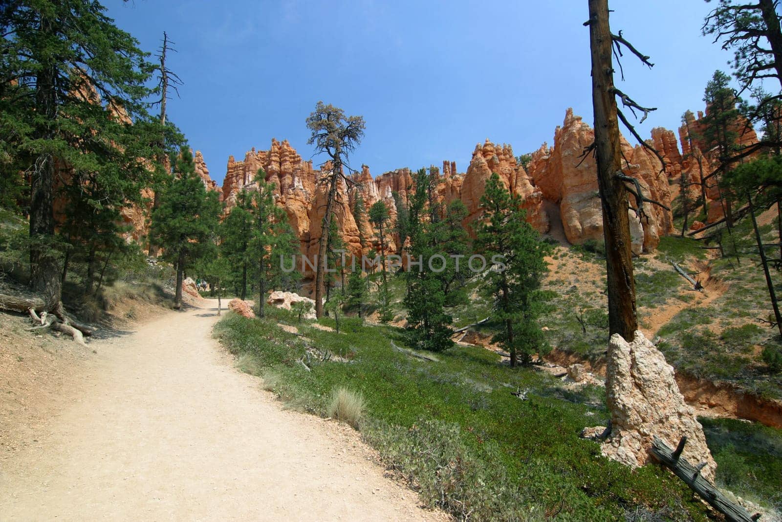 Bryce Canyon National Park