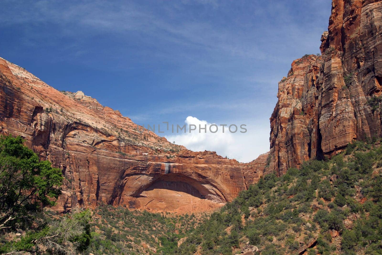 Zion National Park