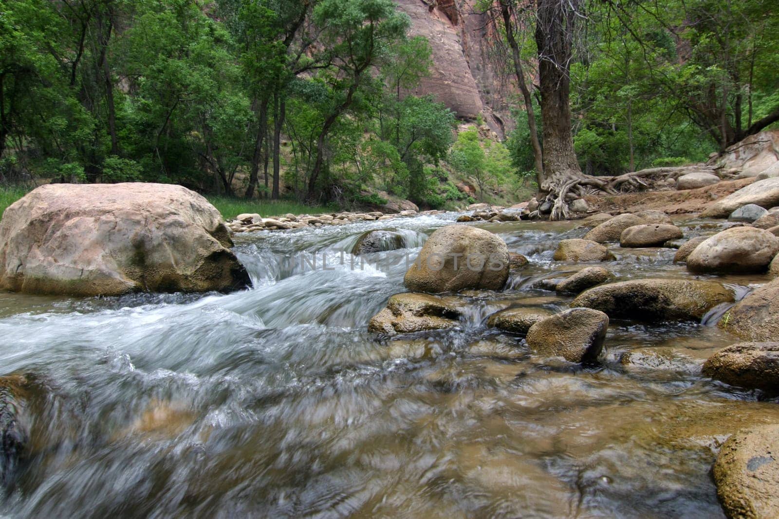 Brook in Zion National Park