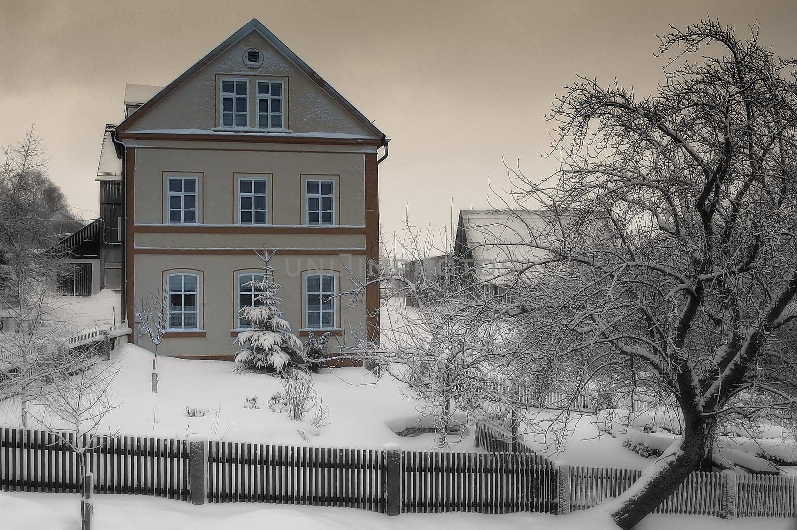 Winter 2
