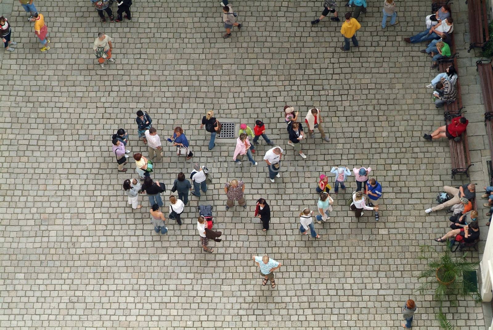 viewed from above II